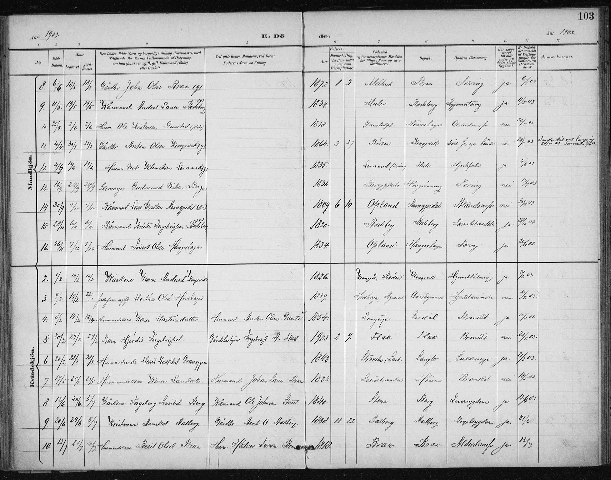 Ministerialprotokoller, klokkerbøker og fødselsregistre - Sør-Trøndelag, AV/SAT-A-1456/612/L0380: Parish register (official) no. 612A12, 1898-1907, p. 103