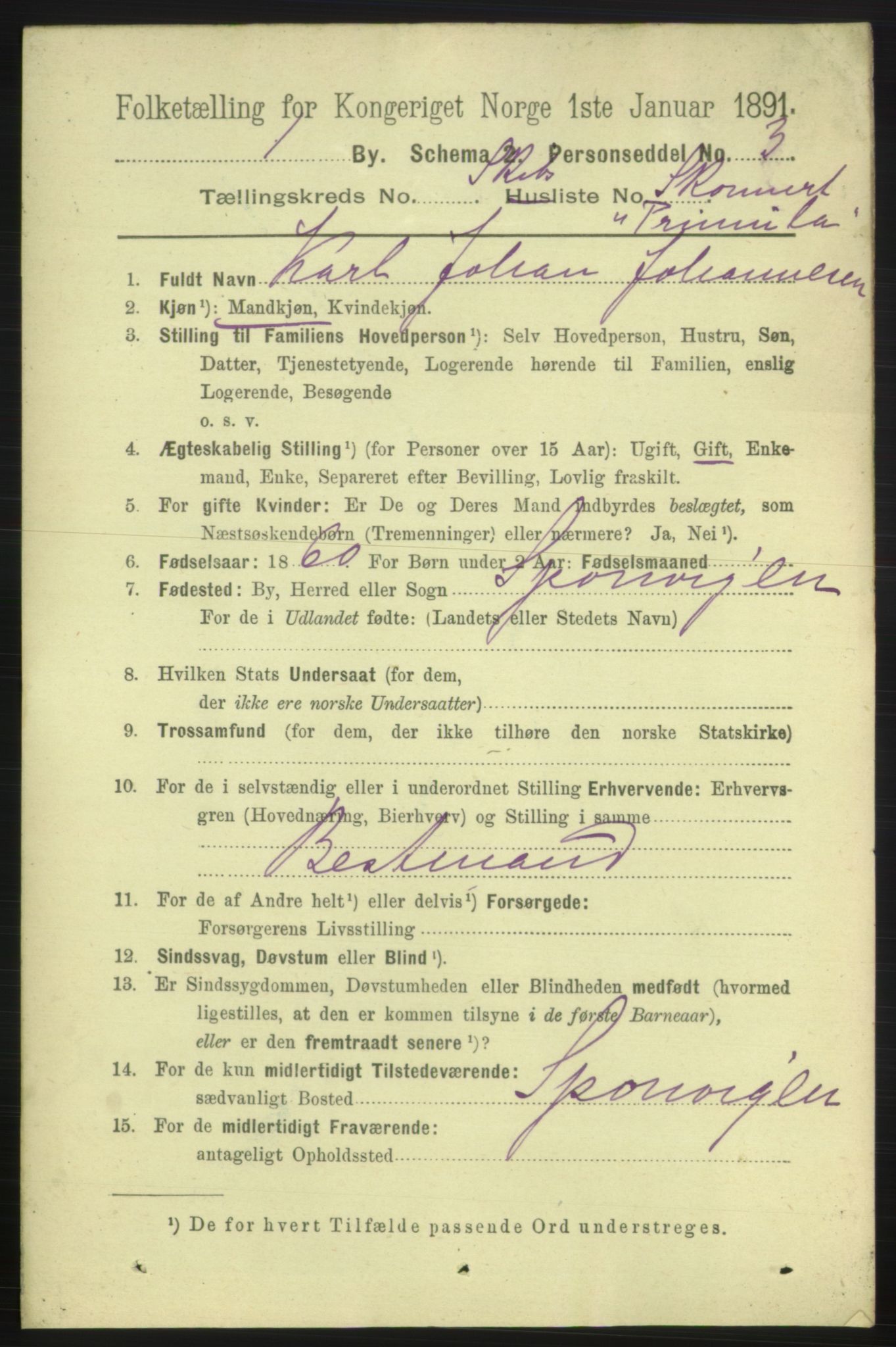 RA, 1891 census for 0101 Fredrikshald, 1891, p. 13810