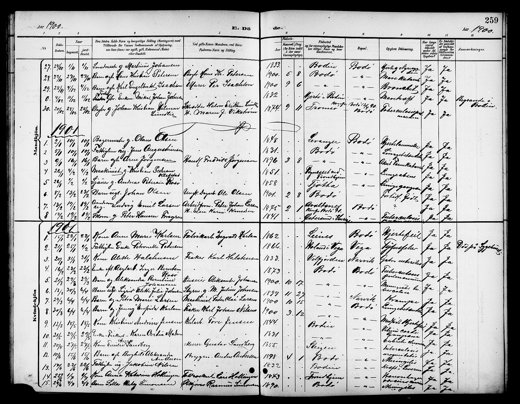 Ministerialprotokoller, klokkerbøker og fødselsregistre - Nordland, SAT/A-1459/801/L0033: Parish register (copy) no. 801C08, 1898-1910, p. 259