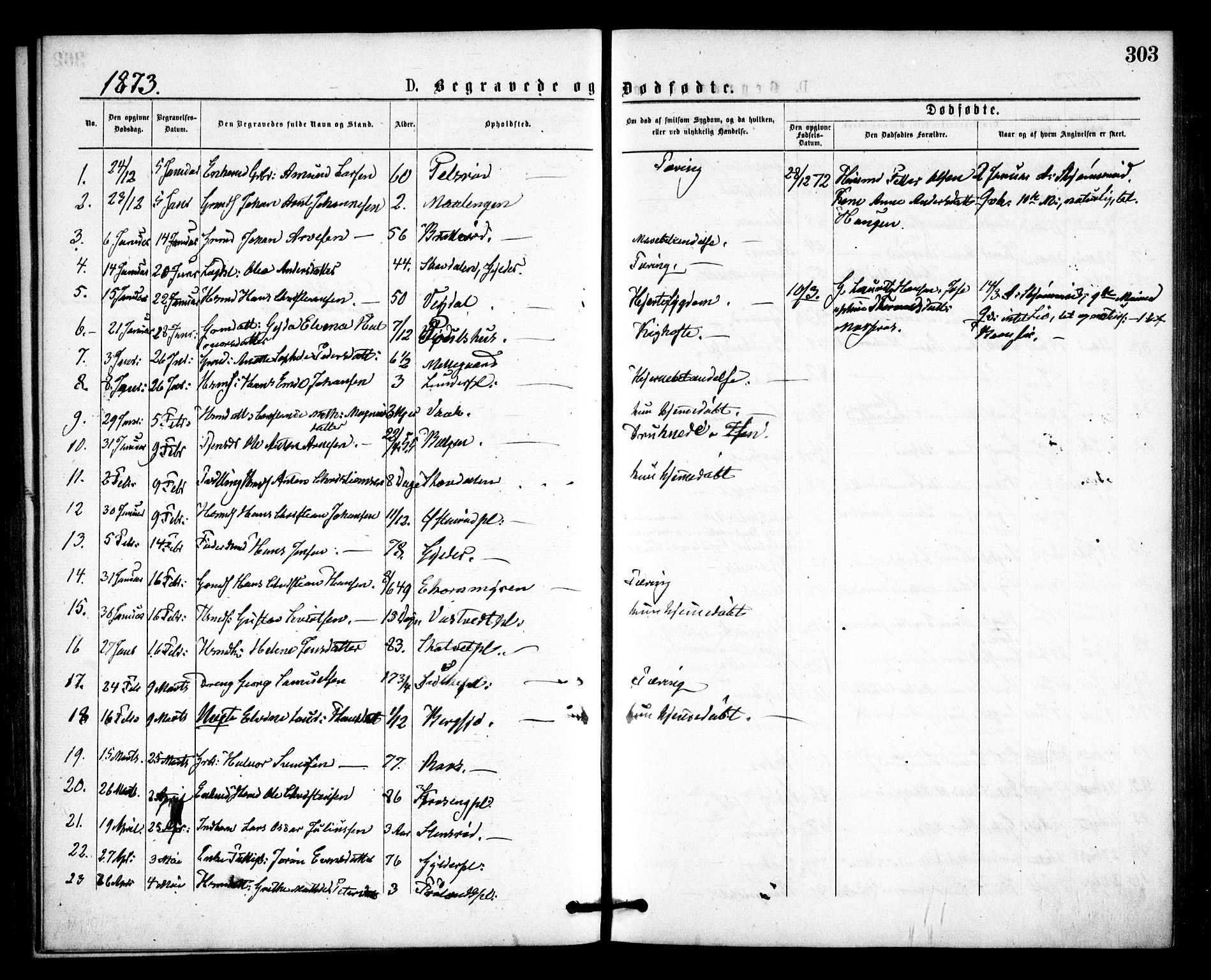 Våler prestekontor Kirkebøker, SAO/A-11083/F/Fa/L0009: Parish register (official) no. I 9, 1873-1877, p. 303