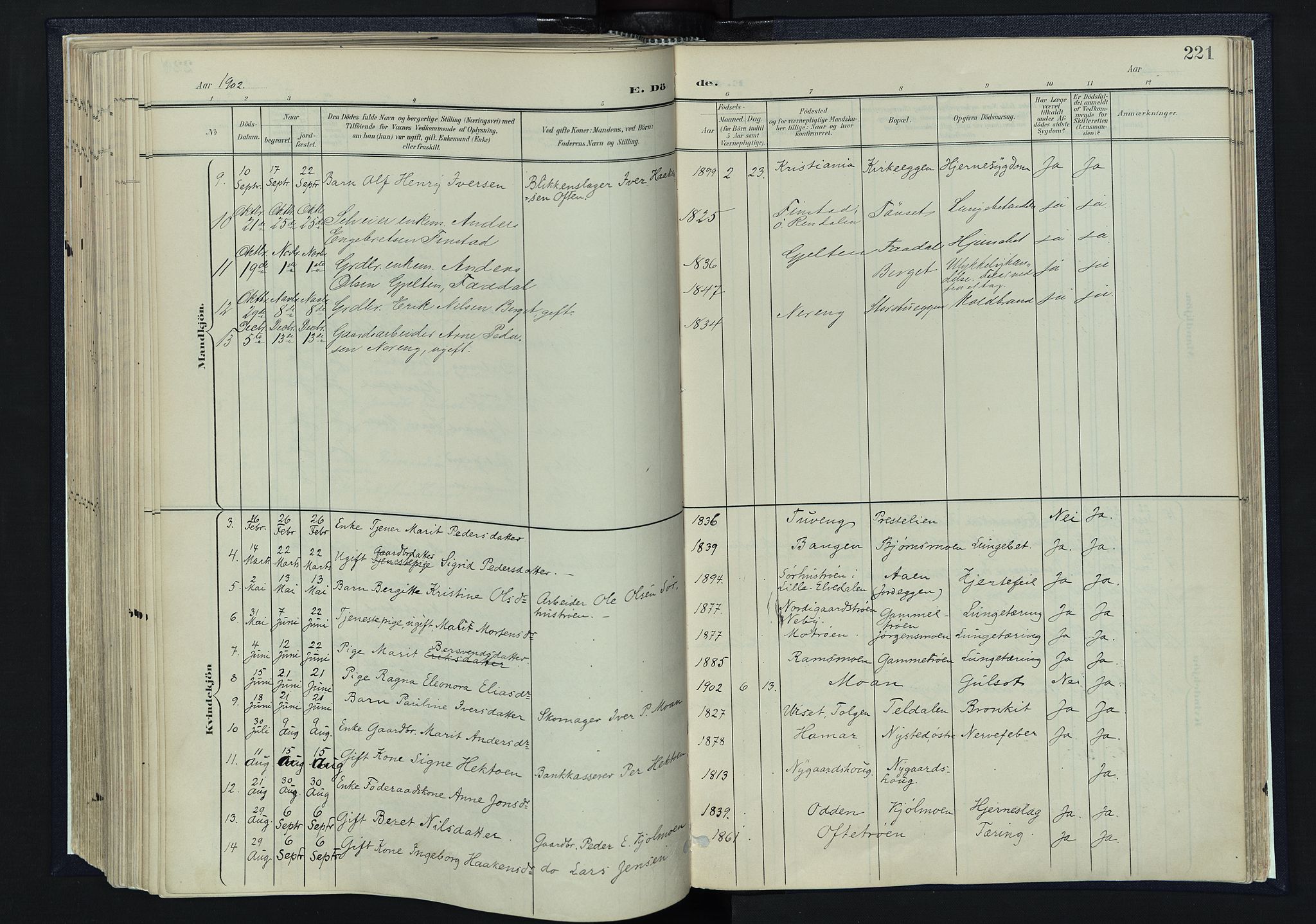 Tynset prestekontor, SAH/PREST-058/H/Ha/Haa/L0025: Parish register (official) no. 25, 1900-1914, p. 221