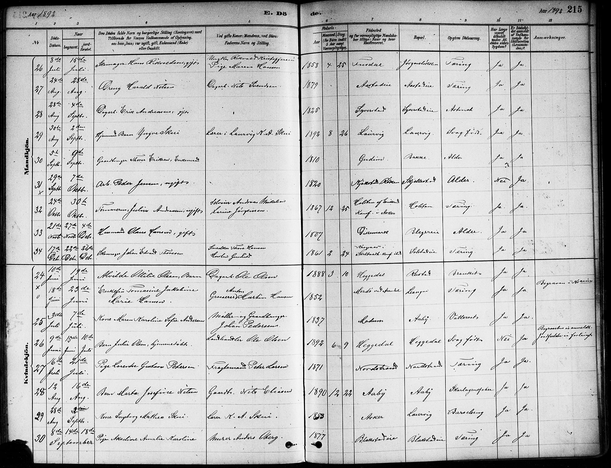 Asker prestekontor Kirkebøker, AV/SAO-A-10256a/F/Fa/L0013: Parish register (official) no. I 13, 1879-1896, p. 215