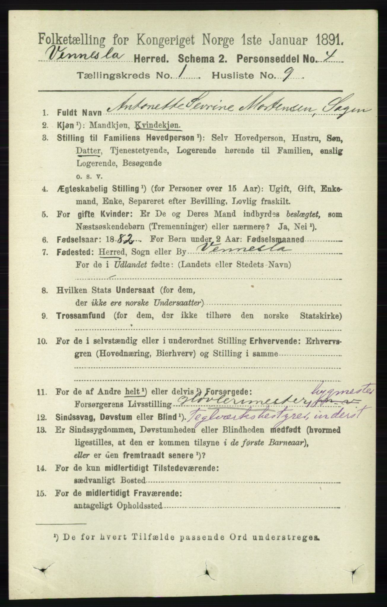 RA, 1891 census for 1014 Vennesla, 1891, p. 116