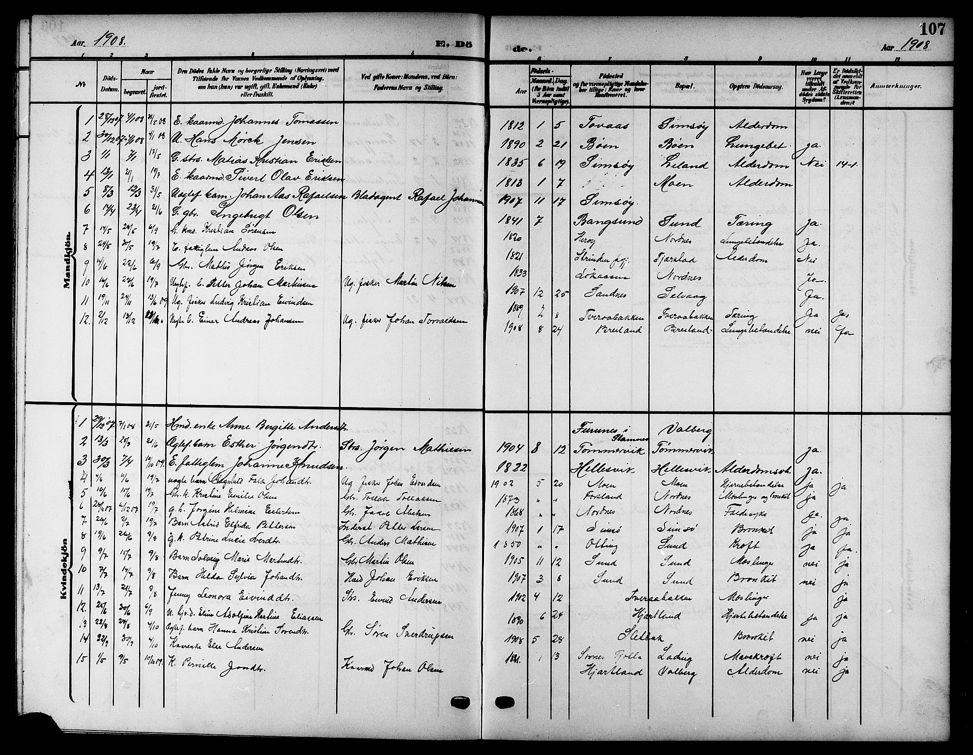 Ministerialprotokoller, klokkerbøker og fødselsregistre - Nordland, AV/SAT-A-1459/832/L0494: Parish register (copy) no. 832C01, 1906-1922, p. 107