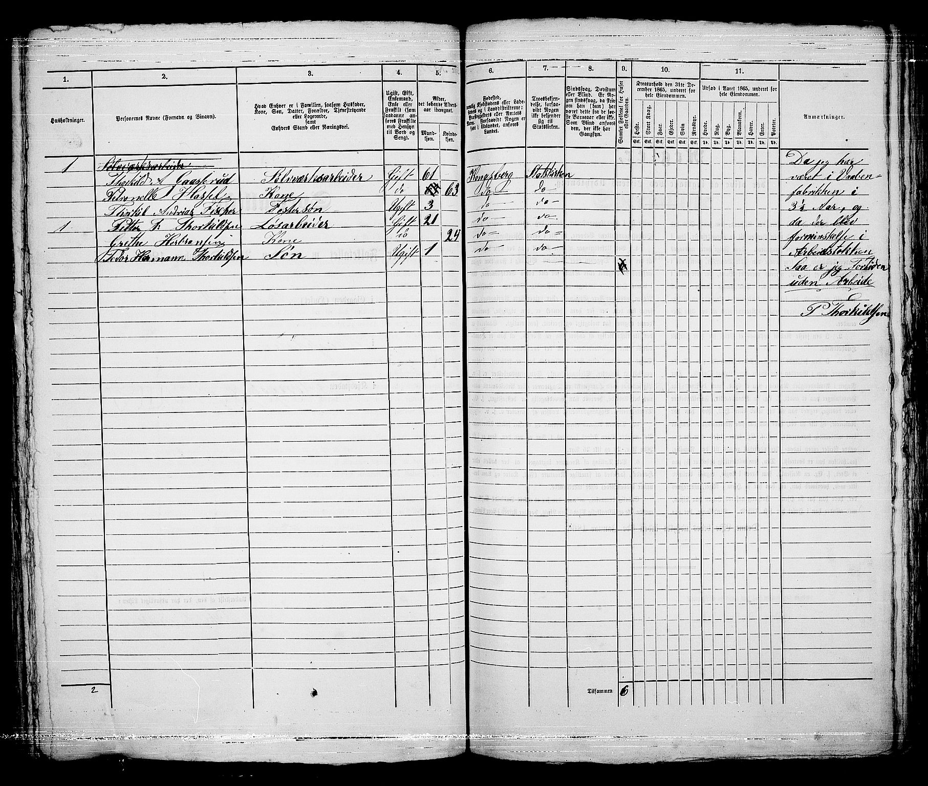 RA, 1865 census for Kongsberg/Kongsberg, 1865, p. 293