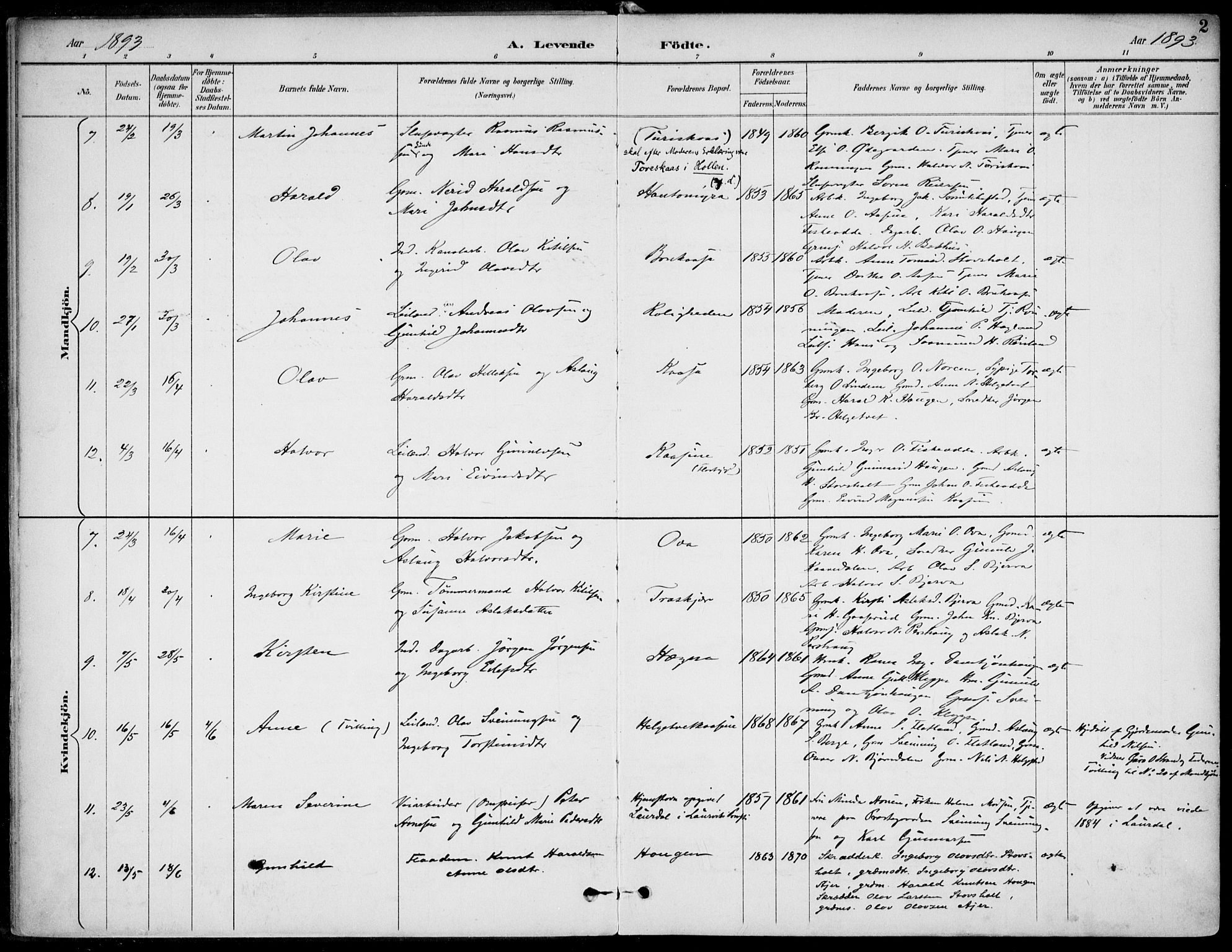 Lunde kirkebøker, AV/SAKO-A-282/F/Fa/L0003: Parish register (official) no. I 3, 1893-1902, p. 2