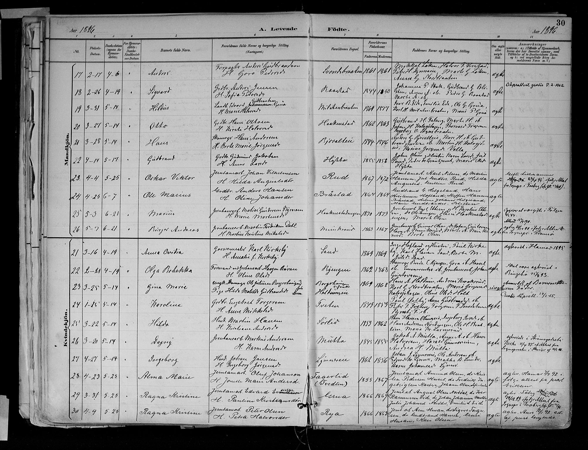Jevnaker prestekontor, SAH/PREST-116/H/Ha/Haa/L0010: Parish register (official) no. 10, 1891-1906, p. 30