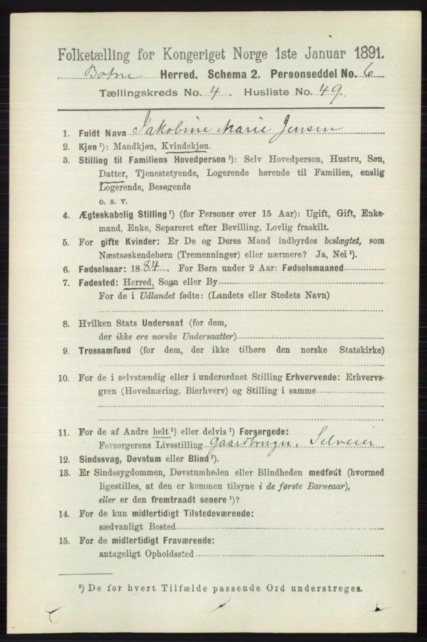 RA, 1891 census for 0715 Botne, 1891, p. 1885