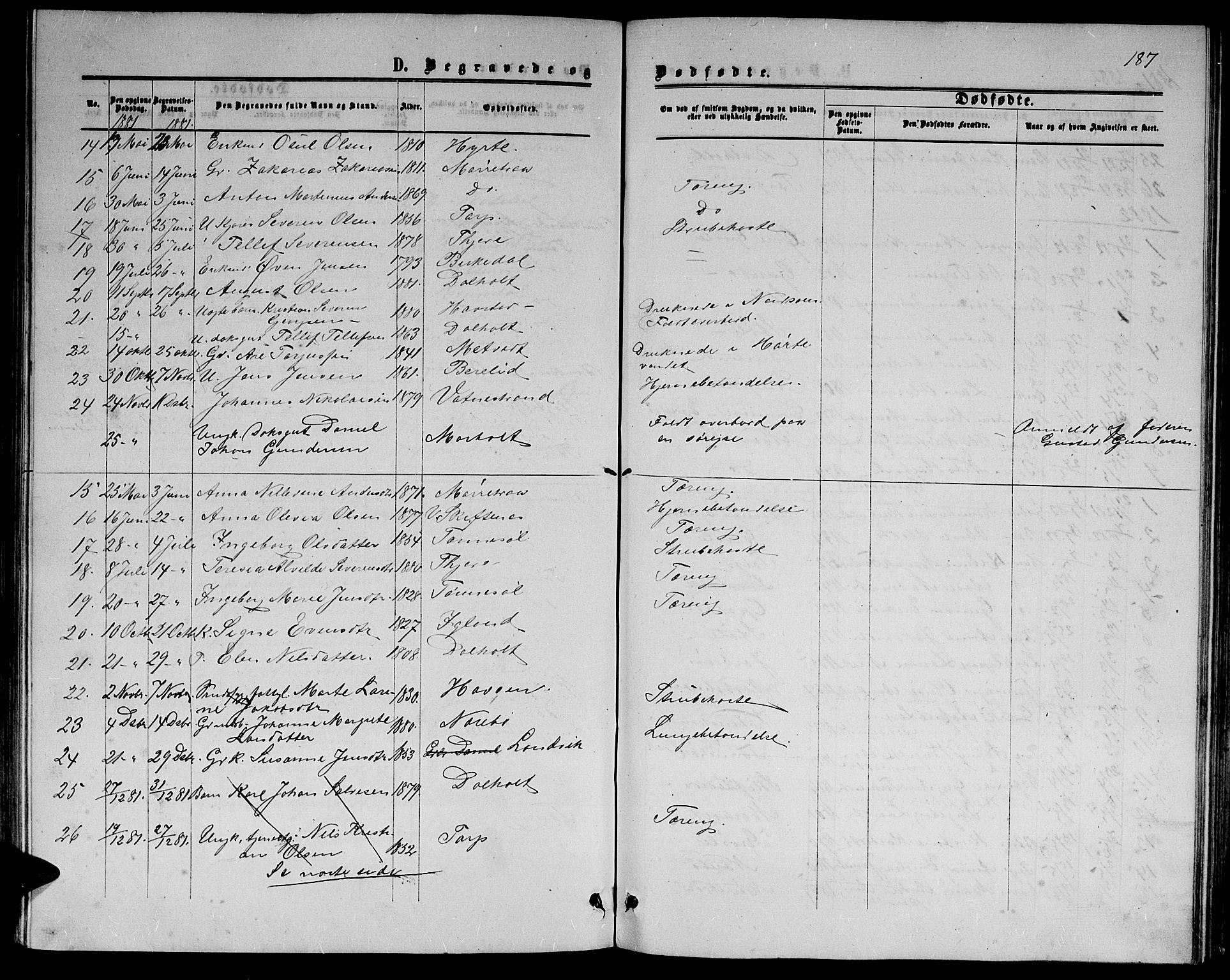 Hommedal sokneprestkontor, AV/SAK-1111-0023/F/Fb/Fbb/L0006: Parish register (copy) no. B 6, 1869-1884, p. 187