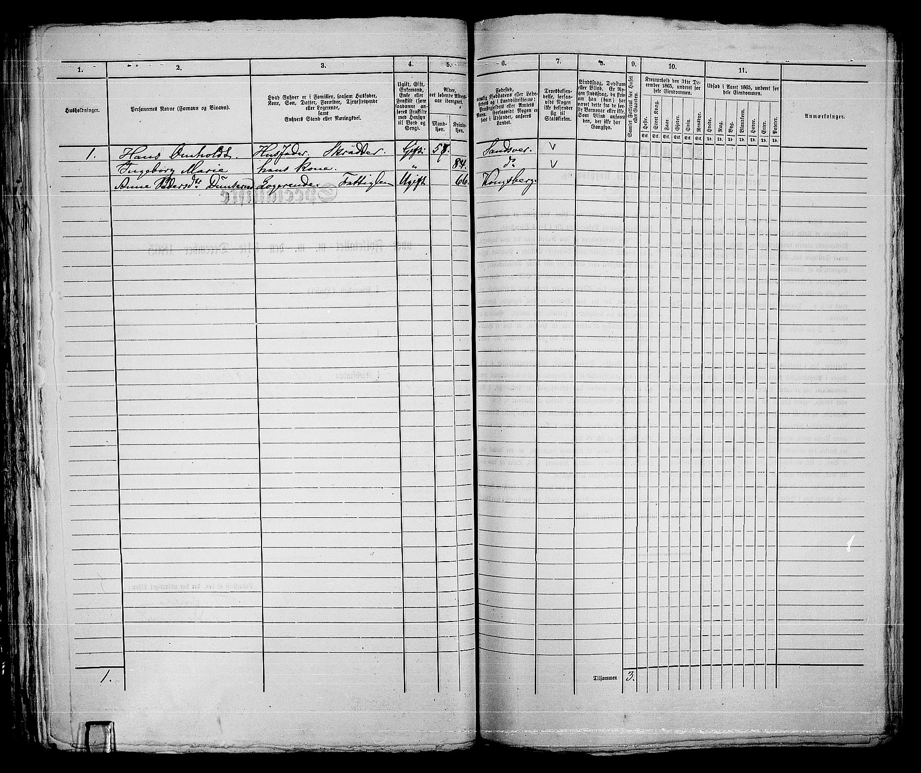 RA, 1865 census for Kongsberg/Kongsberg, 1865, p. 596