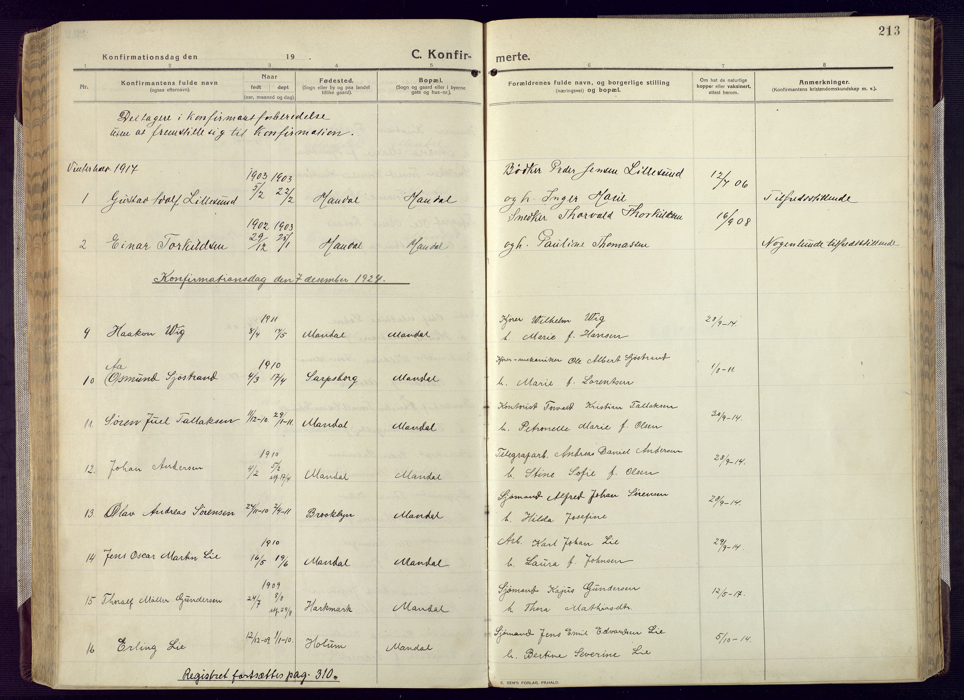 Mandal sokneprestkontor, SAK/1111-0030/F/Fa/Fac/L0001: Parish register (official) no. A 1, 1913-1925, p. 213