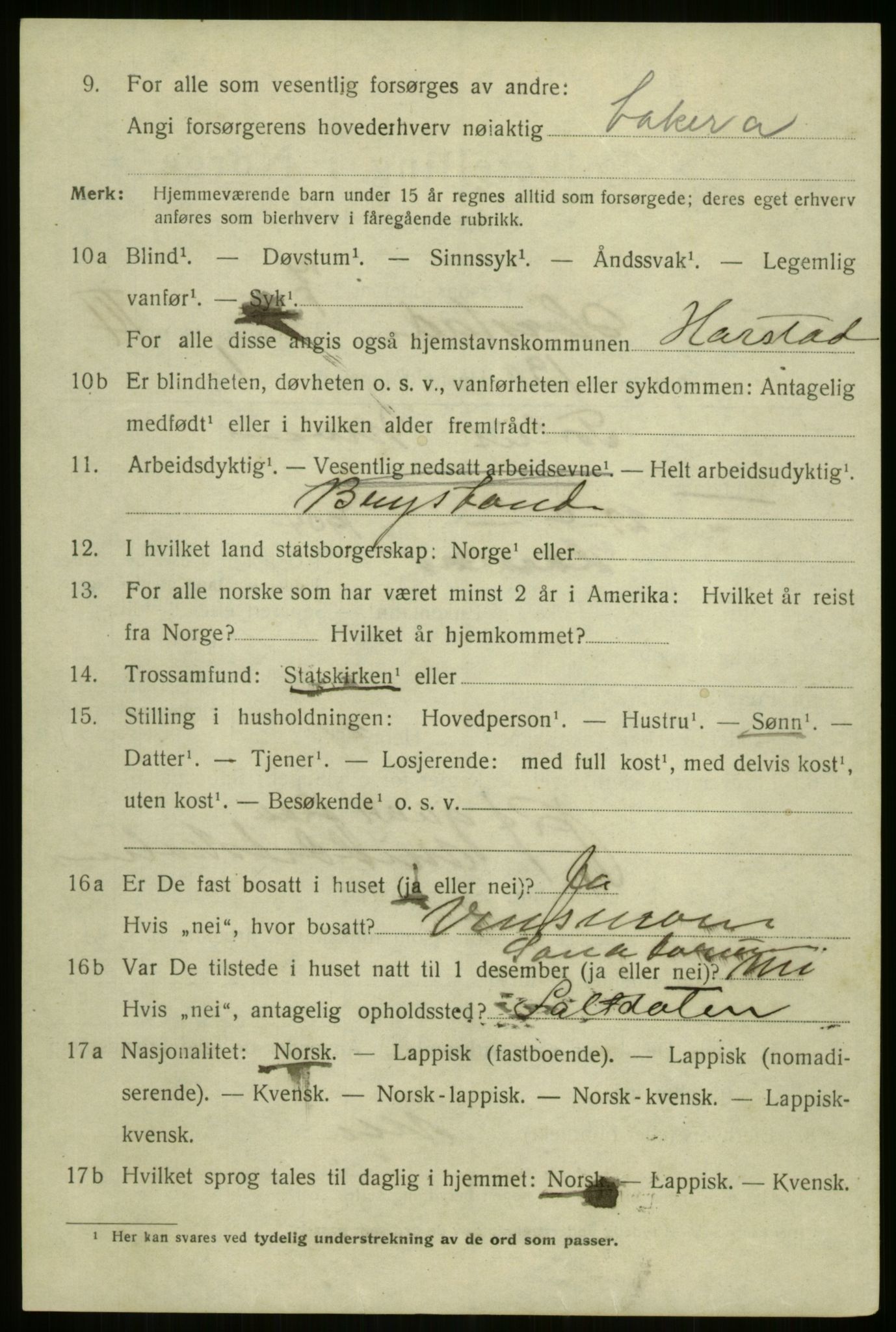 SATØ, 1920 census for Harstad, 1920, p. 4493