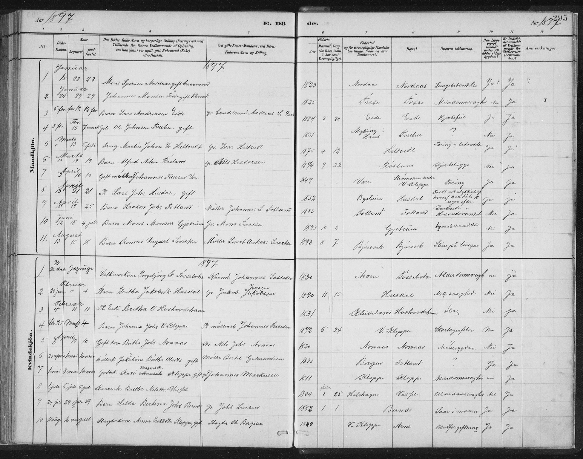 Hosanger sokneprestembete, AV/SAB-A-75801/H/Hab: Parish register (copy) no. A 3 II, 1882-1903, p. 295