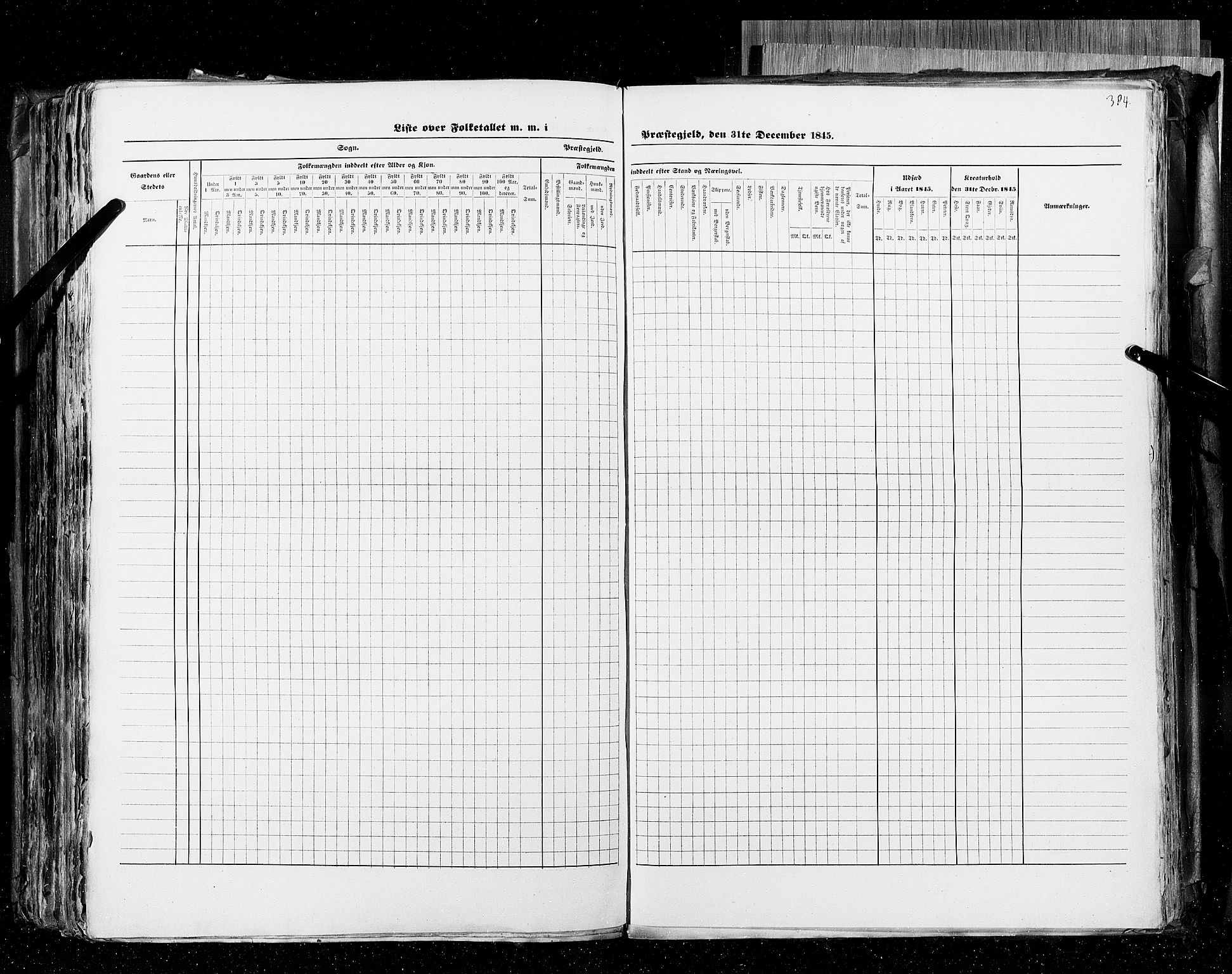 RA, Census 1845, vol. 4: Buskerud amt og Jarlsberg og Larvik amt, 1845, p. 384