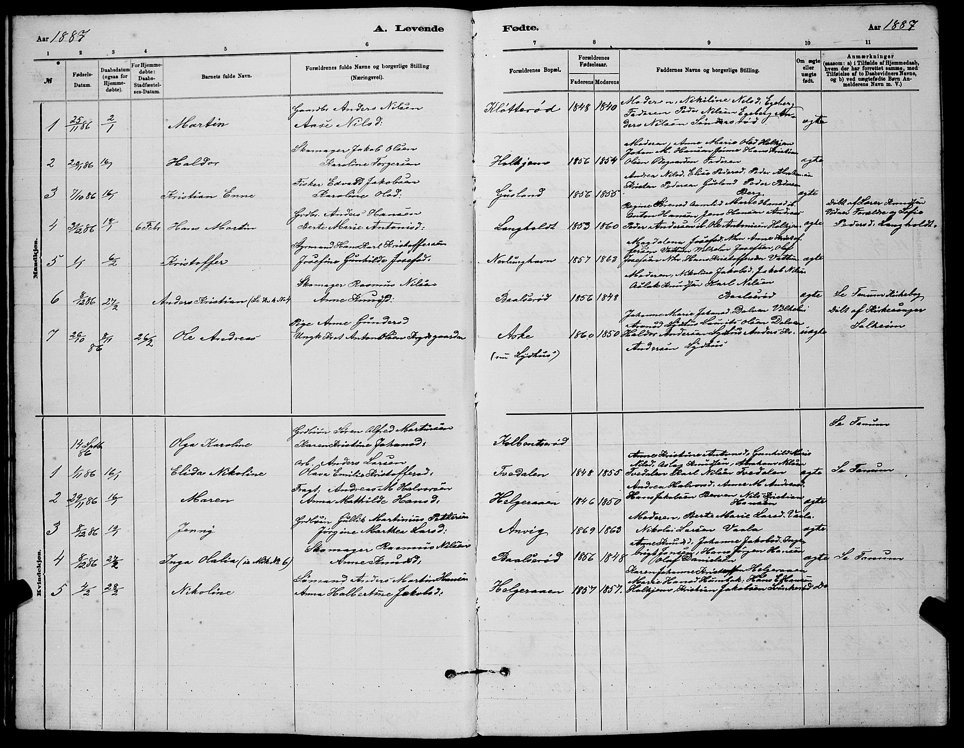 Brunlanes kirkebøker, AV/SAKO-A-342/G/Gb/L0002: Parish register (copy) no. II 2, 1878-1902