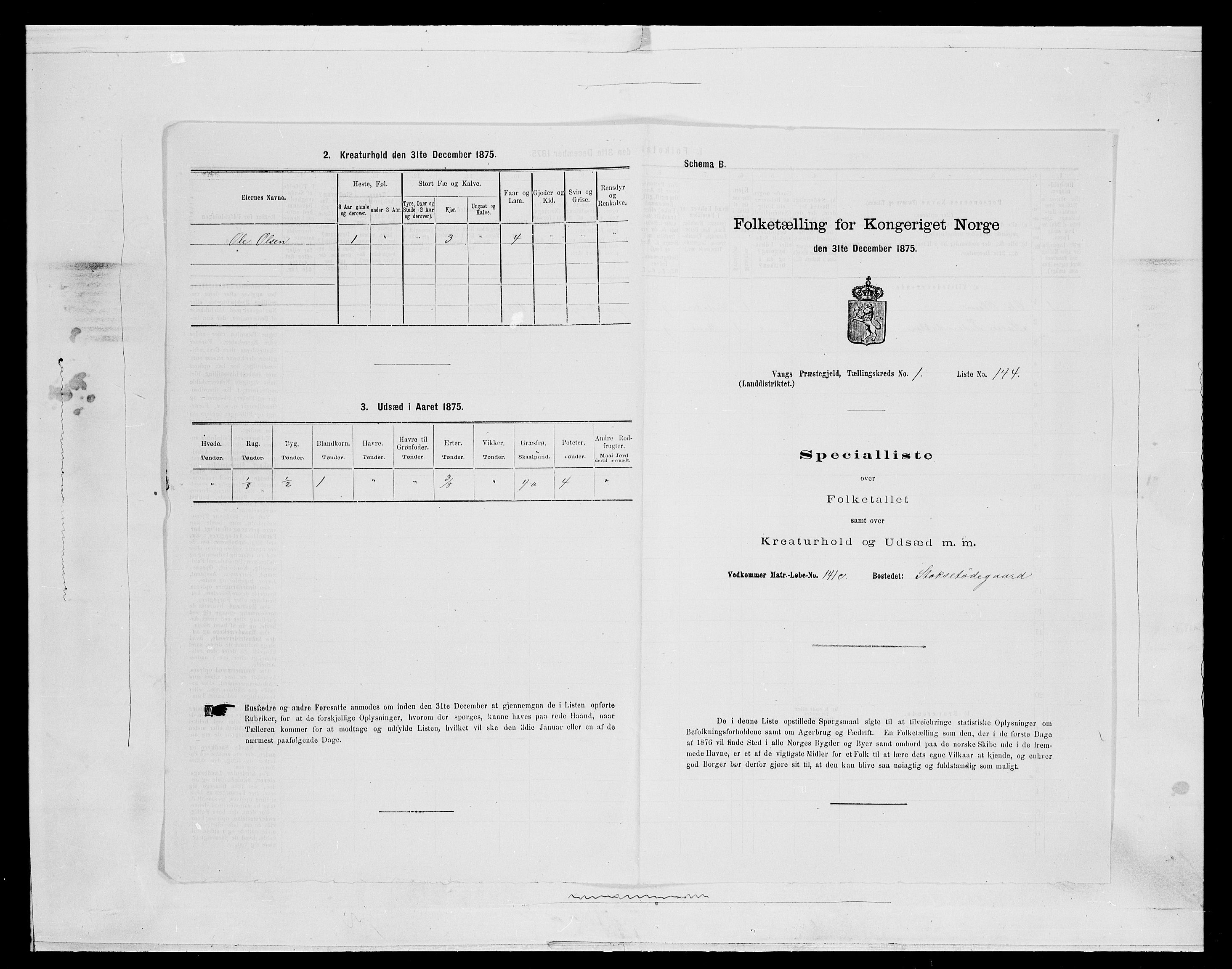 SAH, 1875 census for 0414L Vang/Vang og Furnes, 1875, p. 452