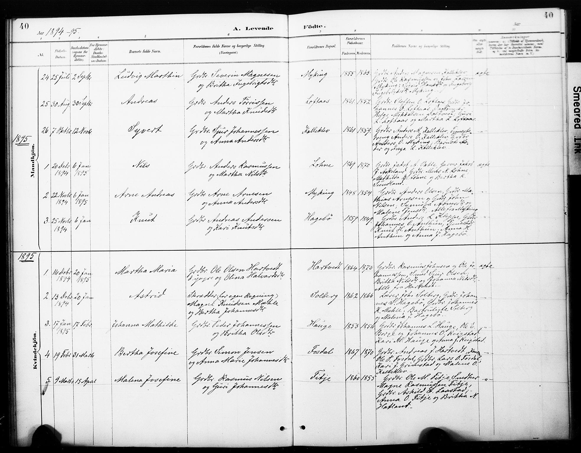 Haus sokneprestembete, SAB/A-75601/H/Haa: Parish register (official) no. C 1, 1887-1899, p. 40