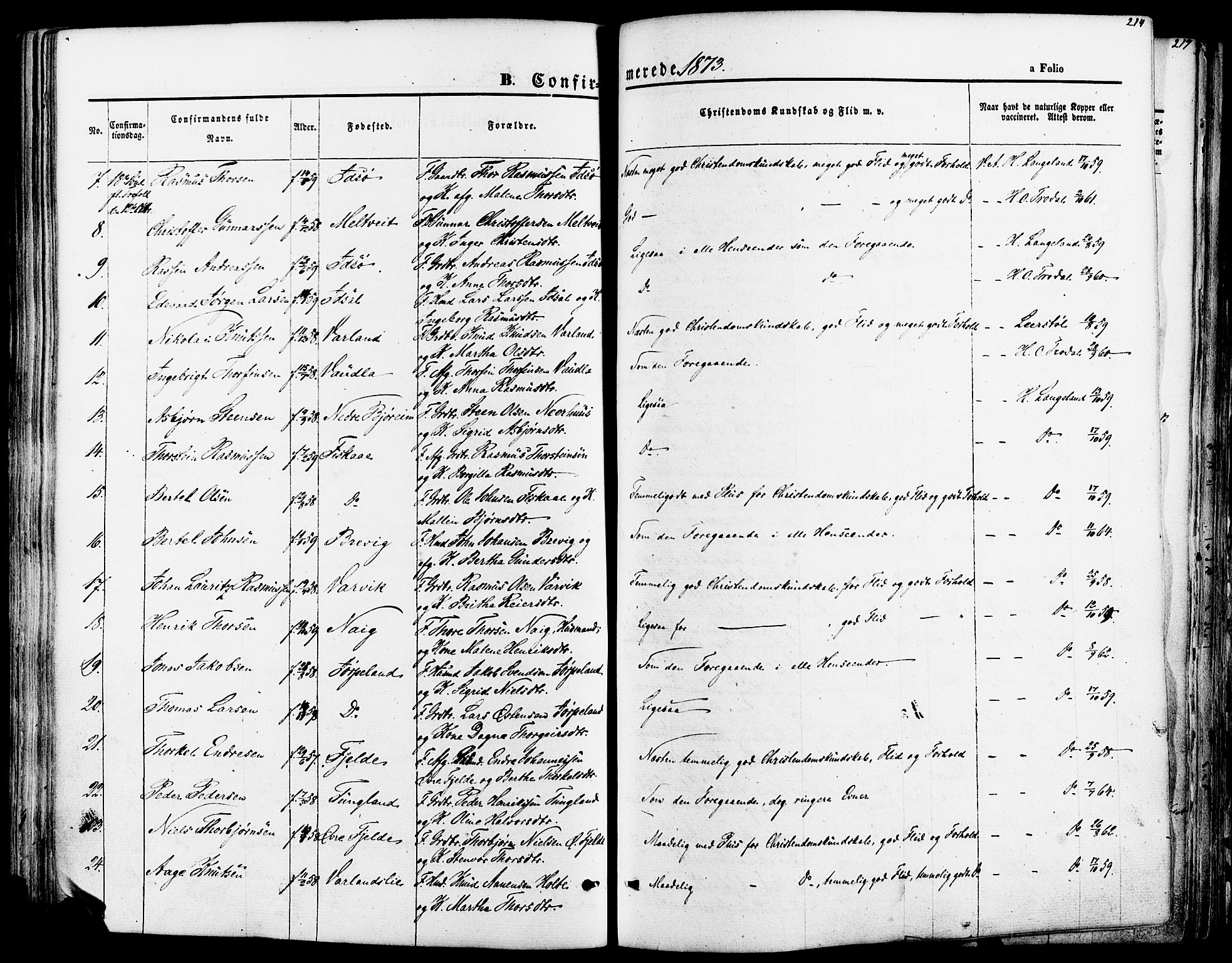 Strand sokneprestkontor, SAST/A-101828/H/Ha/Haa/L0007: Parish register (official) no. A 7, 1855-1881, p. 214