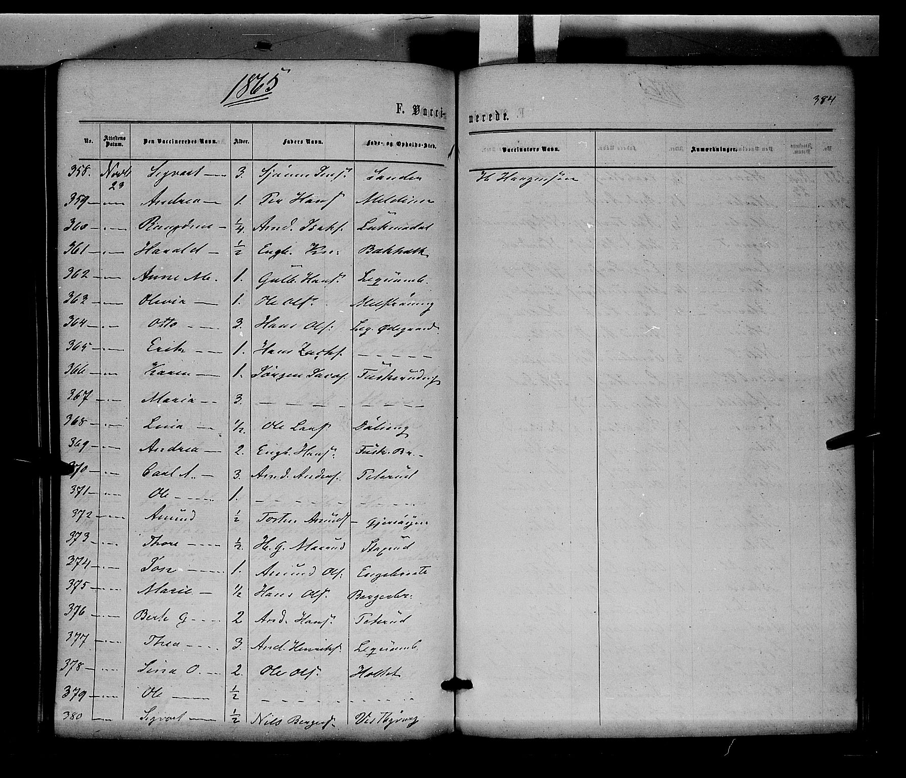 Sør-Odal prestekontor, AV/SAH-PREST-030/H/Ha/Haa/L0003: Parish register (official) no. 3, 1864-1870, p. 384