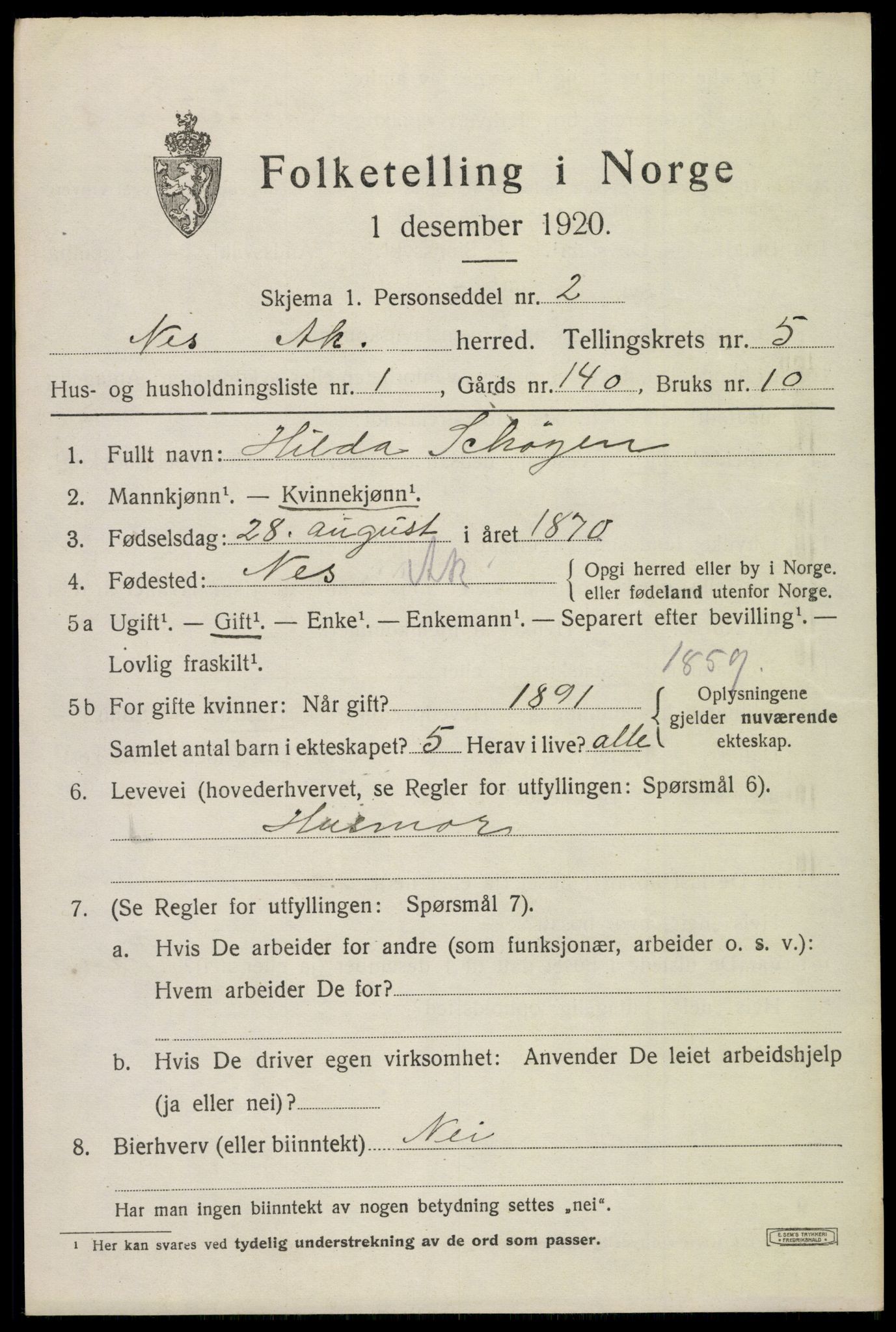 SAO, 1920 census for Nes, 1920, p. 6460