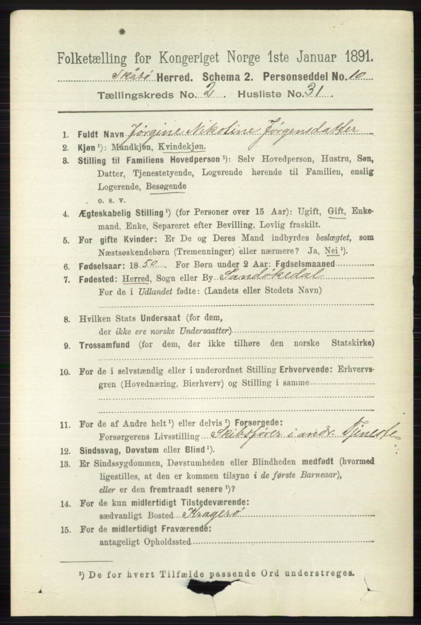 RA, 1891 census for 0815 Skåtøy, 1891, p. 596