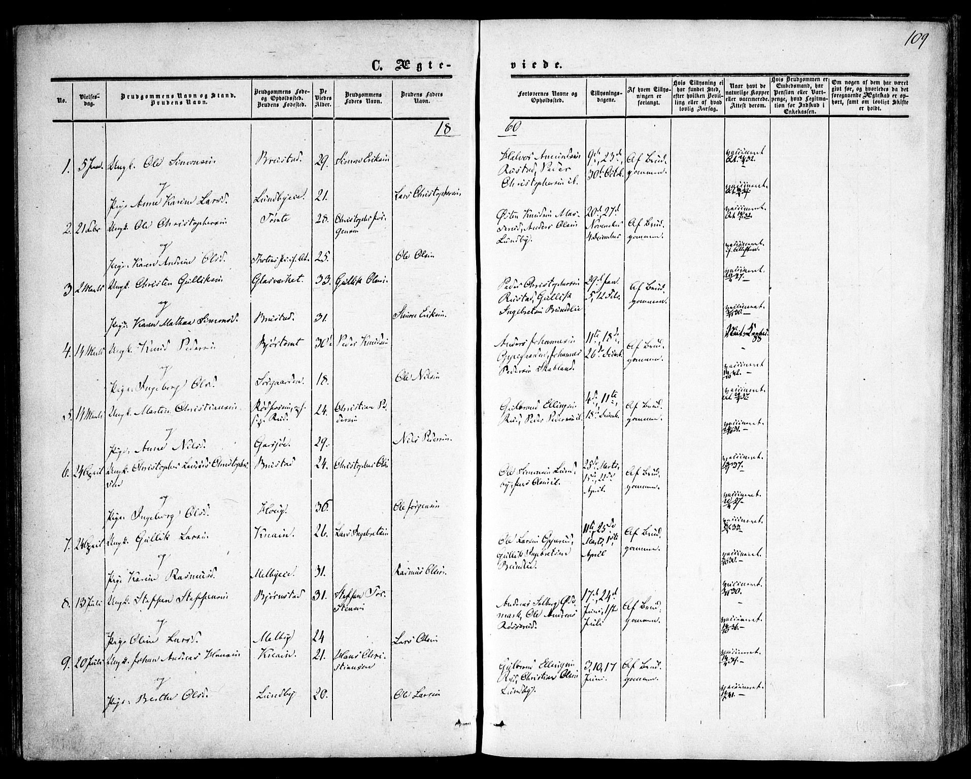 Hurdal prestekontor Kirkebøker, SAO/A-10889/F/Fa/L0006: Parish register (official) no. I 6, 1860-1877, p. 109