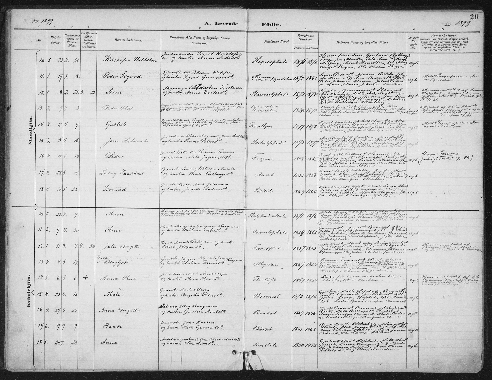 Ministerialprotokoller, klokkerbøker og fødselsregistre - Nord-Trøndelag, SAT/A-1458/703/L0031: Parish register (official) no. 703A04, 1893-1914, p. 26