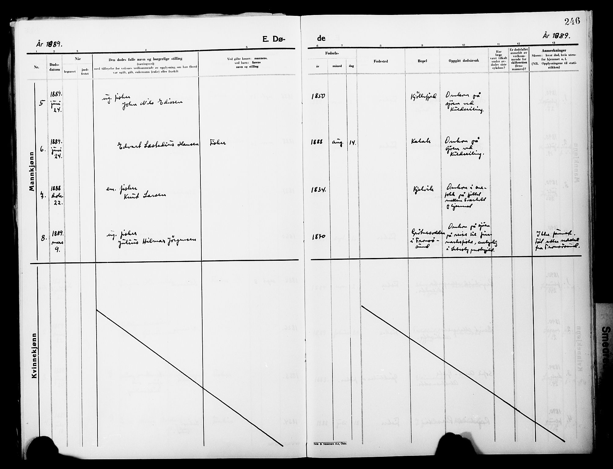 Lebesby sokneprestkontor, AV/SATØ-S-1353/H/Ha/L0004kirke: Parish register (official) no. 4, 1870-1902, p. 246