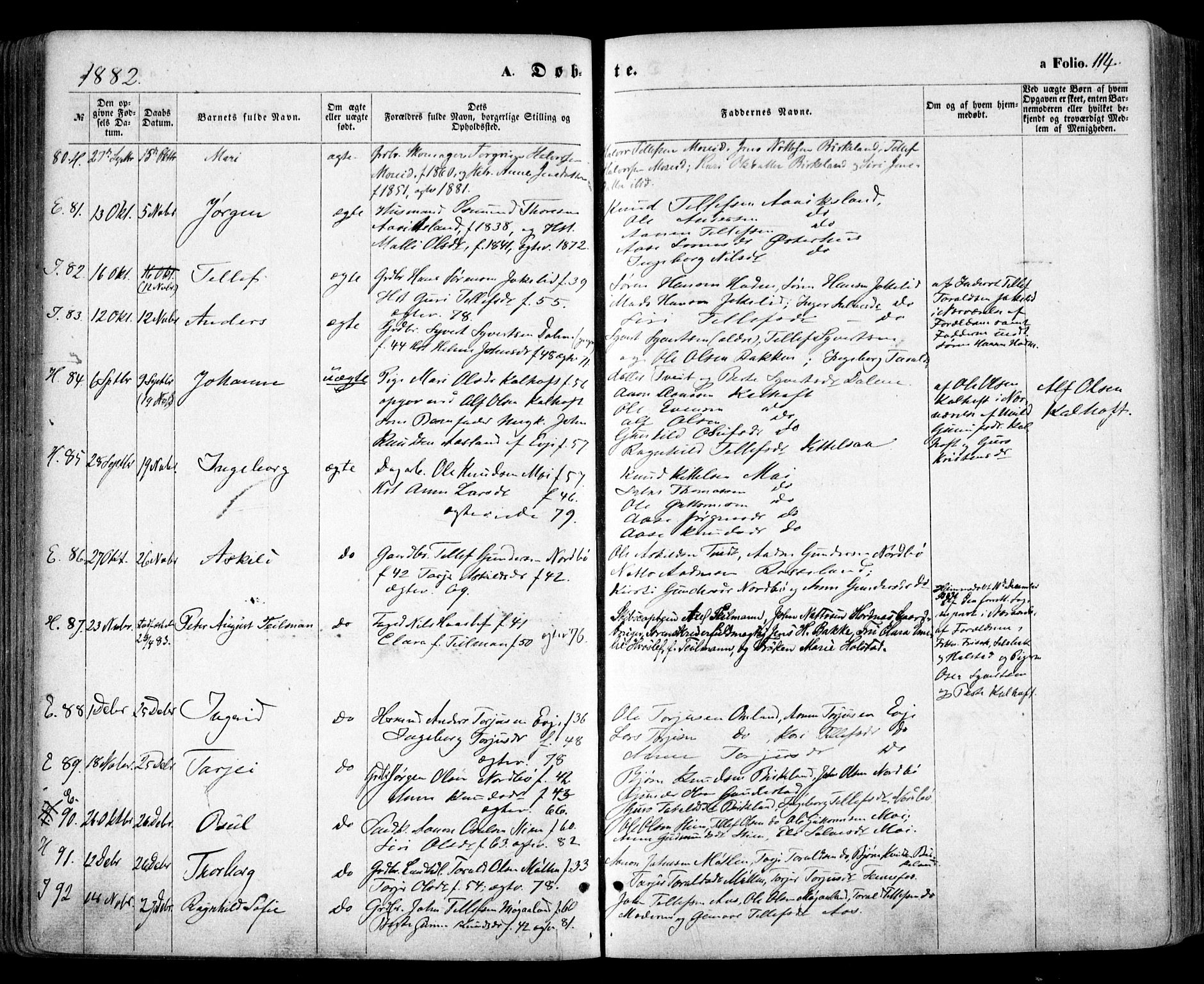 Evje sokneprestkontor, SAK/1111-0008/F/Fa/Faa/L0006: Parish register (official) no. A 6, 1866-1884, p. 114
