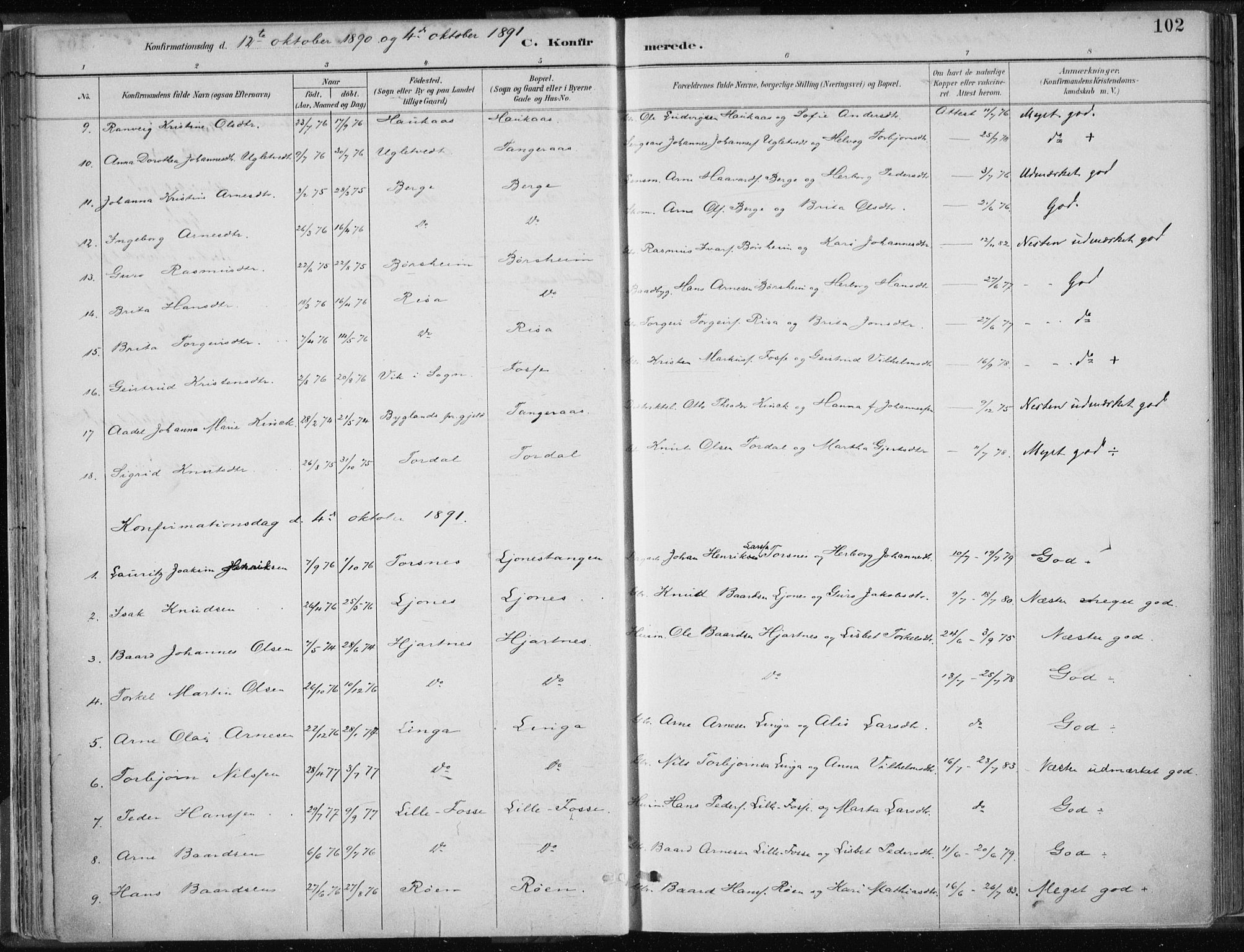 Strandebarm sokneprestembete, AV/SAB-A-78401/H/Haa: Parish register (official) no. B  1, 1886-1908, p. 102