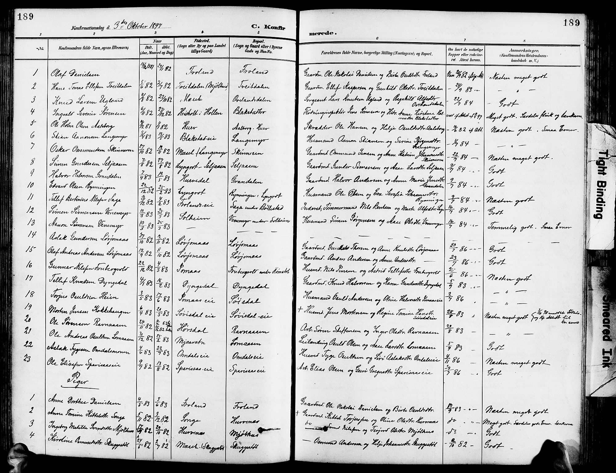 Froland sokneprestkontor, SAK/1111-0013/F/Fb/L0010: Parish register (copy) no. B 10, 1893-1920, p. 189