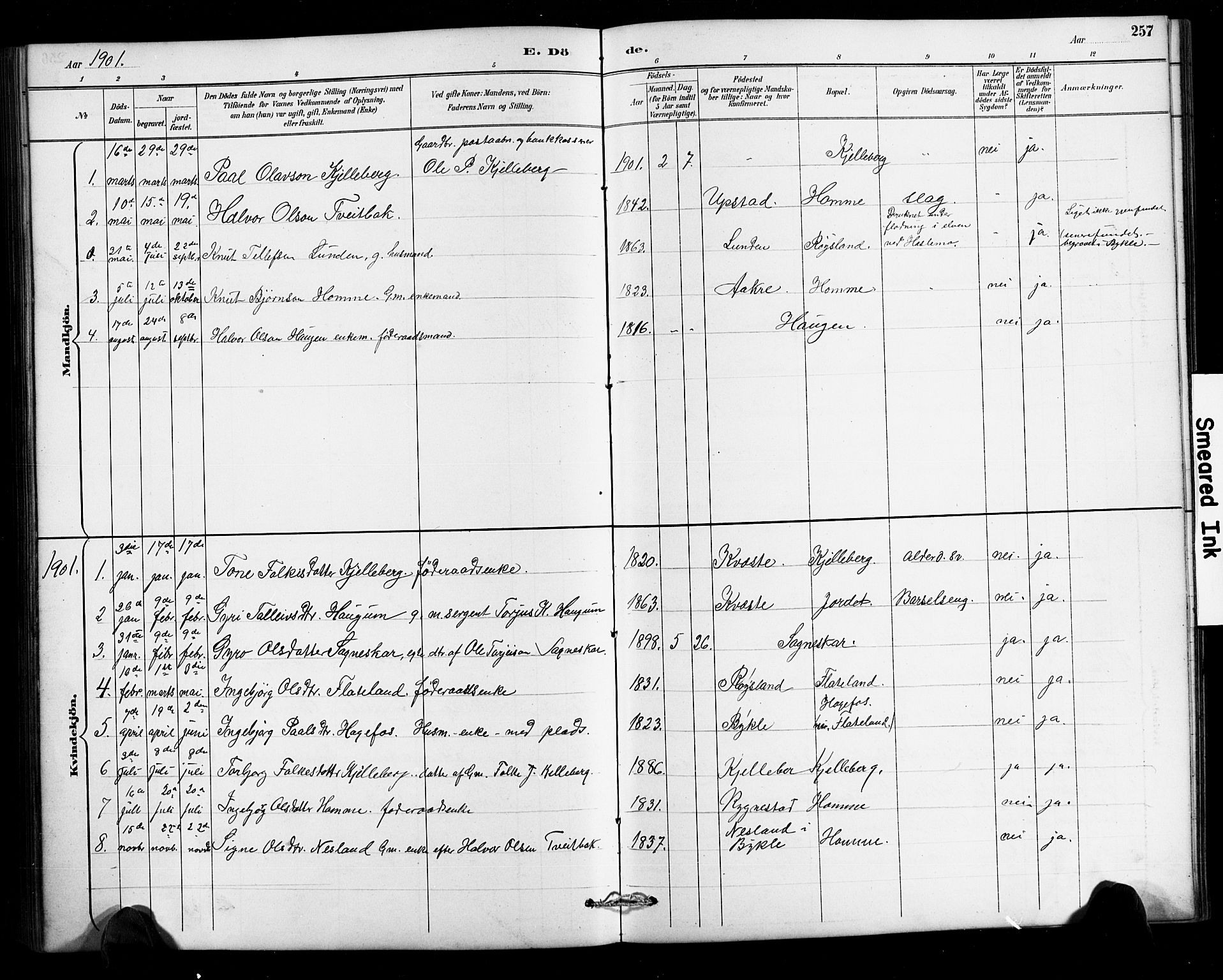 Valle sokneprestkontor, SAK/1111-0044/F/Fb/Fbc/L0004: Parish register (copy) no. B 4, 1890-1928, p. 257