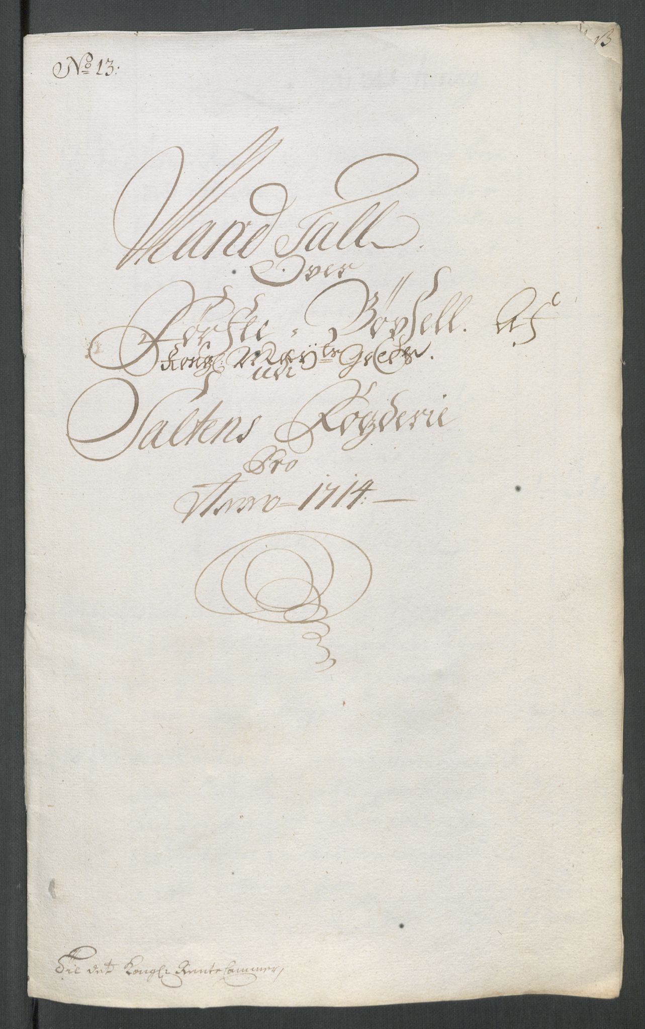 Rentekammeret inntil 1814, Reviderte regnskaper, Fogderegnskap, AV/RA-EA-4092/R66/L4584: Fogderegnskap Salten, 1714, p. 229