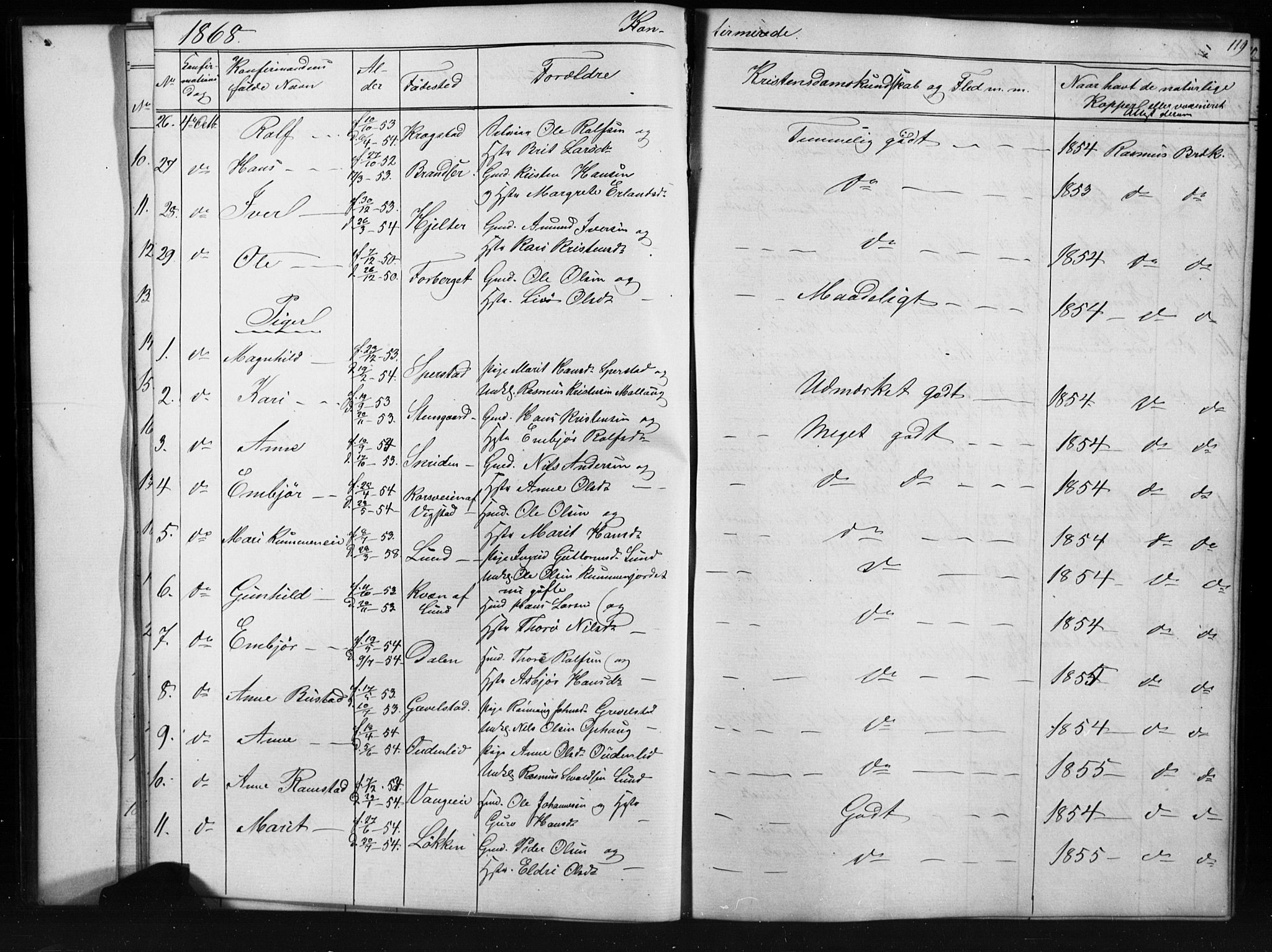 Skjåk prestekontor, SAH/PREST-072/H/Ha/Hab/L0001: Parish register (copy) no. 1, 1865-1893, p. 119
