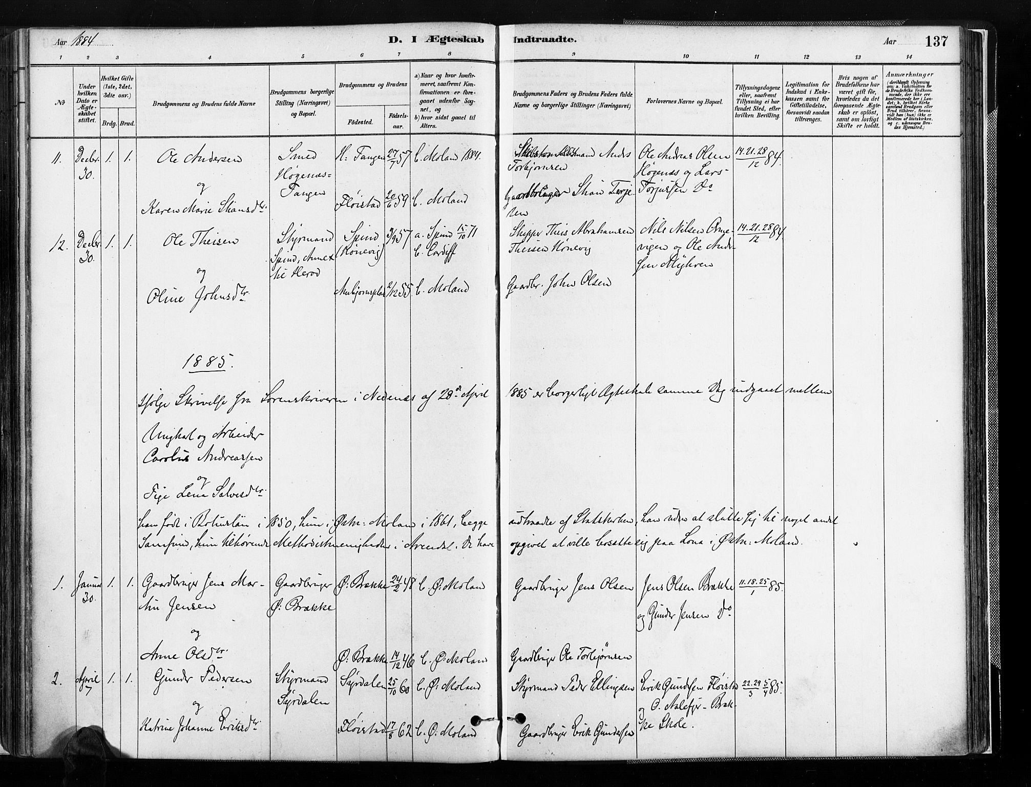 Austre Moland sokneprestkontor, SAK/1111-0001/F/Fa/Faa/L0010: Parish register (official) no. A 10, 1880-1904, p. 137