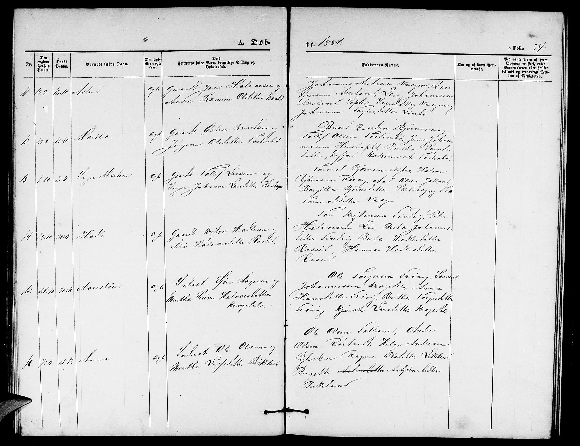 Vikedal sokneprestkontor, AV/SAST-A-101840/01/V: Parish register (copy) no. B 4, 1868-1890, p. 54