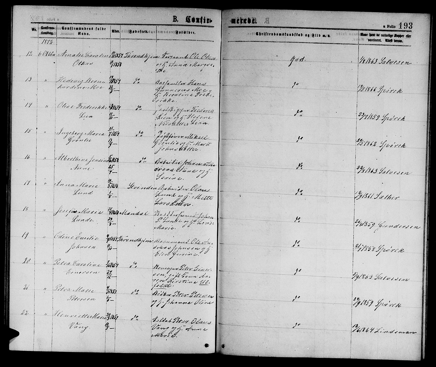 Ministerialprotokoller, klokkerbøker og fødselsregistre - Sør-Trøndelag, AV/SAT-A-1456/601/L0088: Parish register (copy) no. 601C06, 1870-1878, p. 193