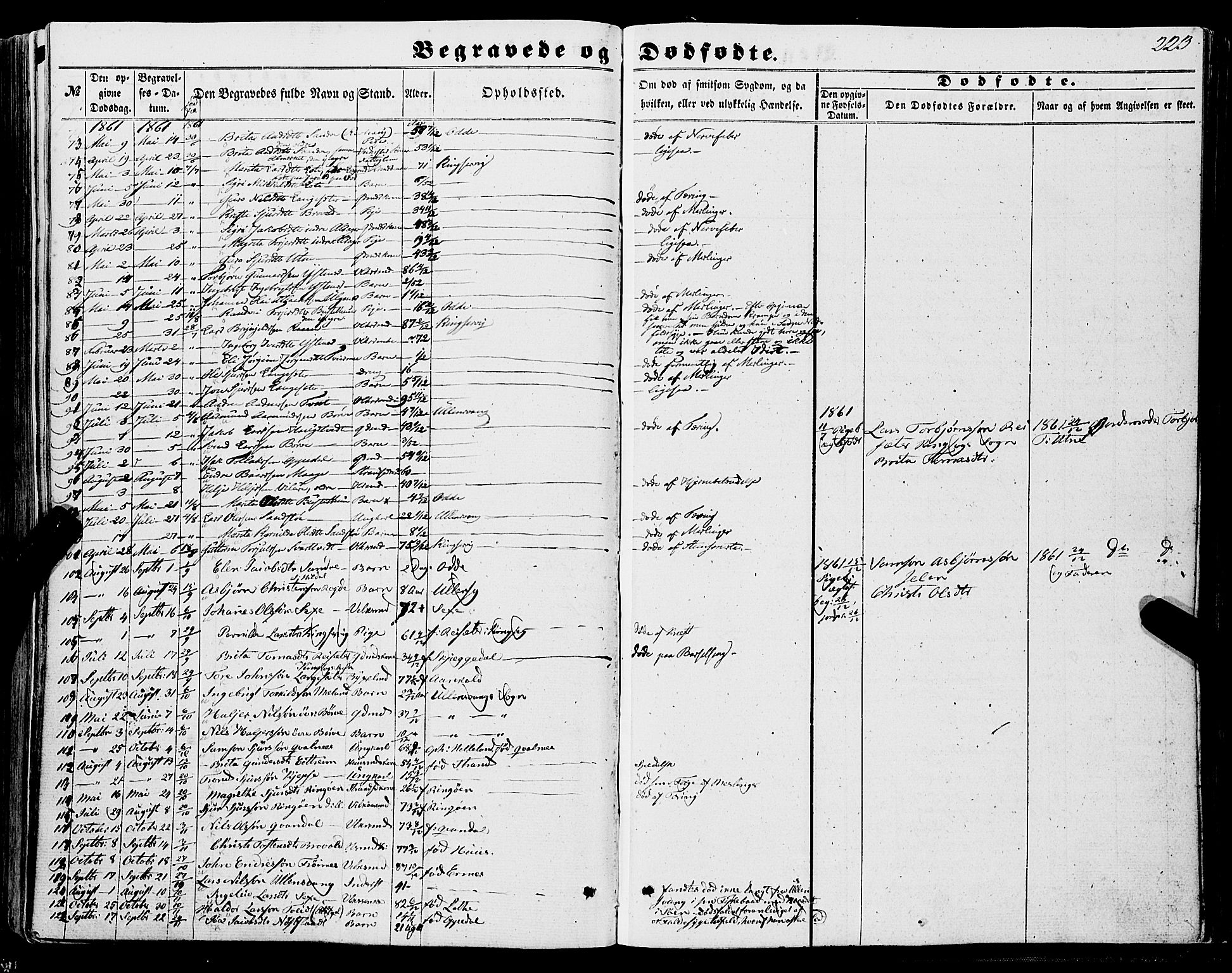 Ullensvang sokneprestembete, AV/SAB-A-78701/H/Haa: Parish register (official) no. A 11, 1854-1866, p. 223