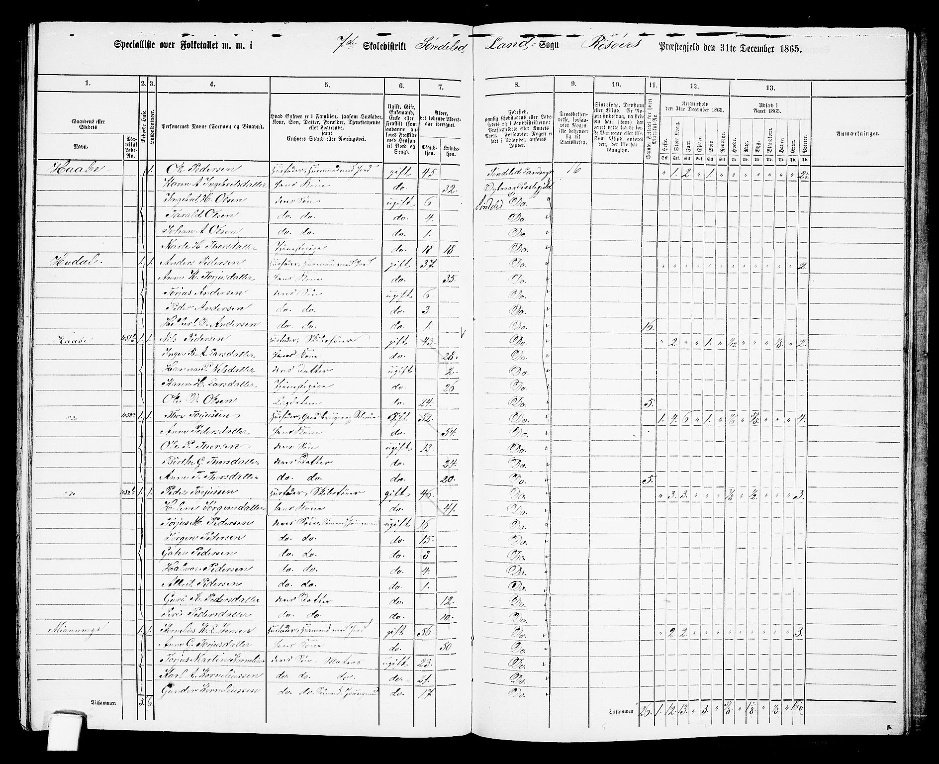 RA, 1865 census for Risør/Søndeled, 1865, p. 132