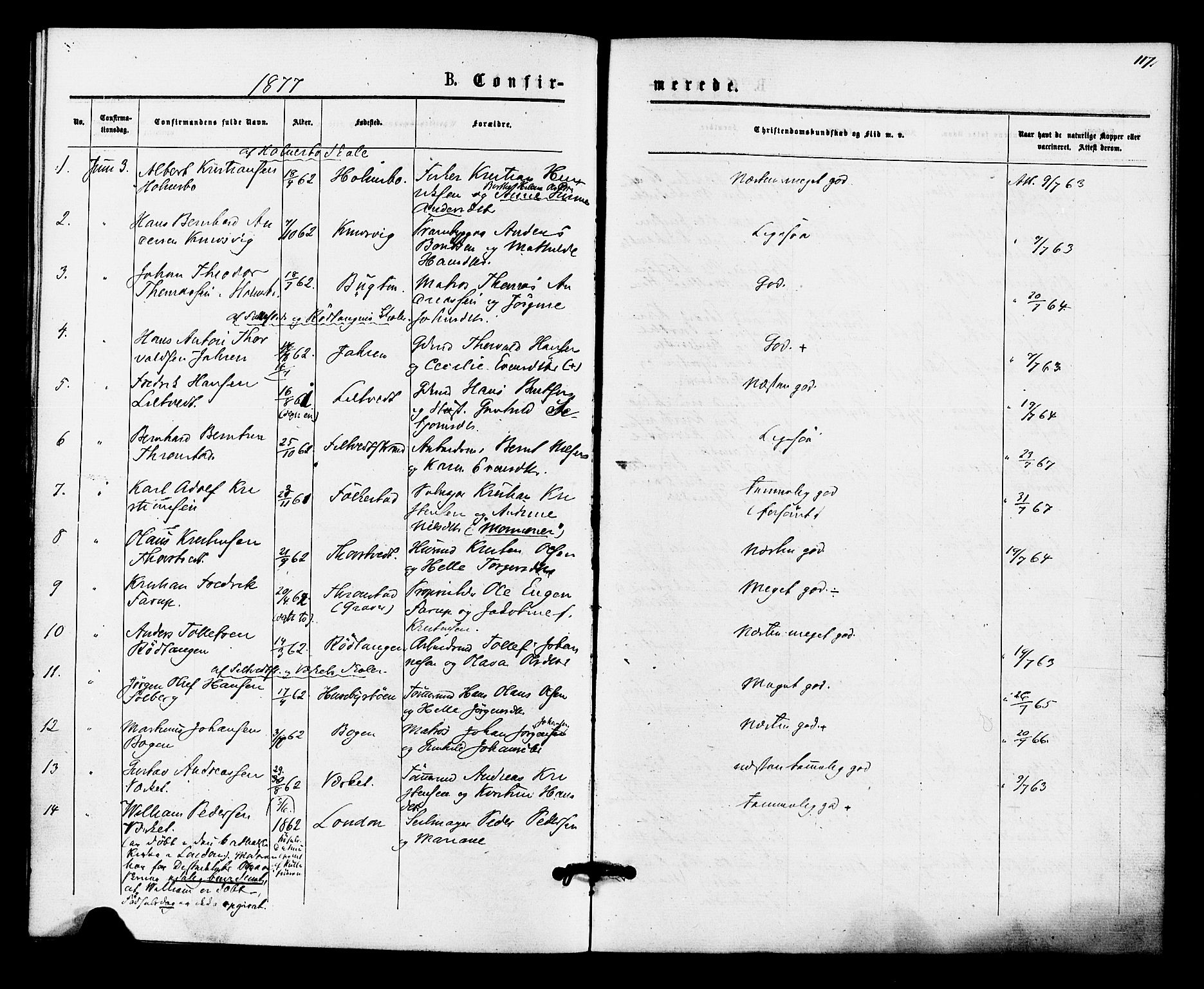 Hurum kirkebøker, SAKO/A-229/F/Fa/L0013: Parish register (official) no. 13, 1876-1881, p. 117