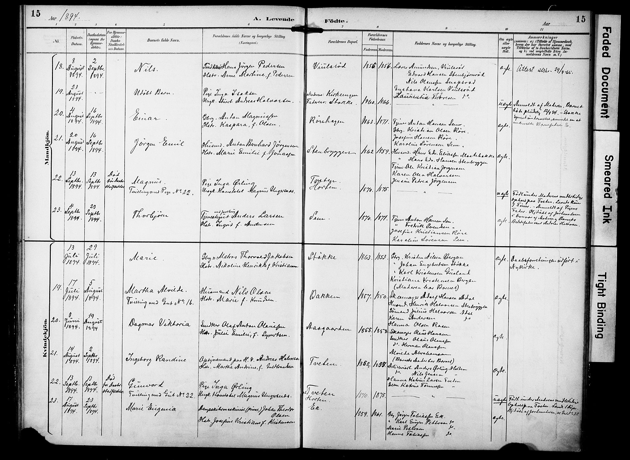Borre kirkebøker, SAKO/A-338/F/Fa/L0010: Parish register (official) no. I 10, 1892-1896, p. 15