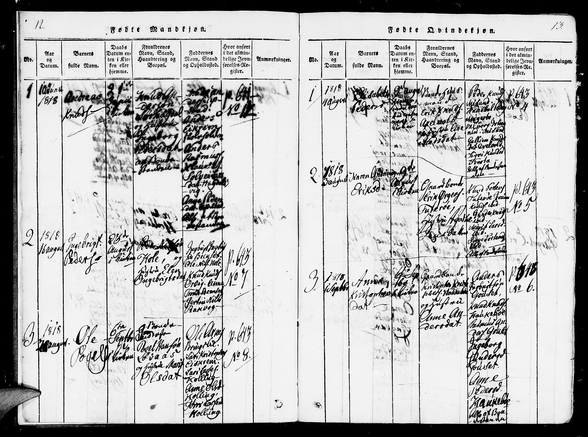 Ministerialprotokoller, klokkerbøker og fødselsregistre - Møre og Romsdal, AV/SAT-A-1454/560/L0718: Parish register (official) no. 560A02, 1817-1844, p. 12-13