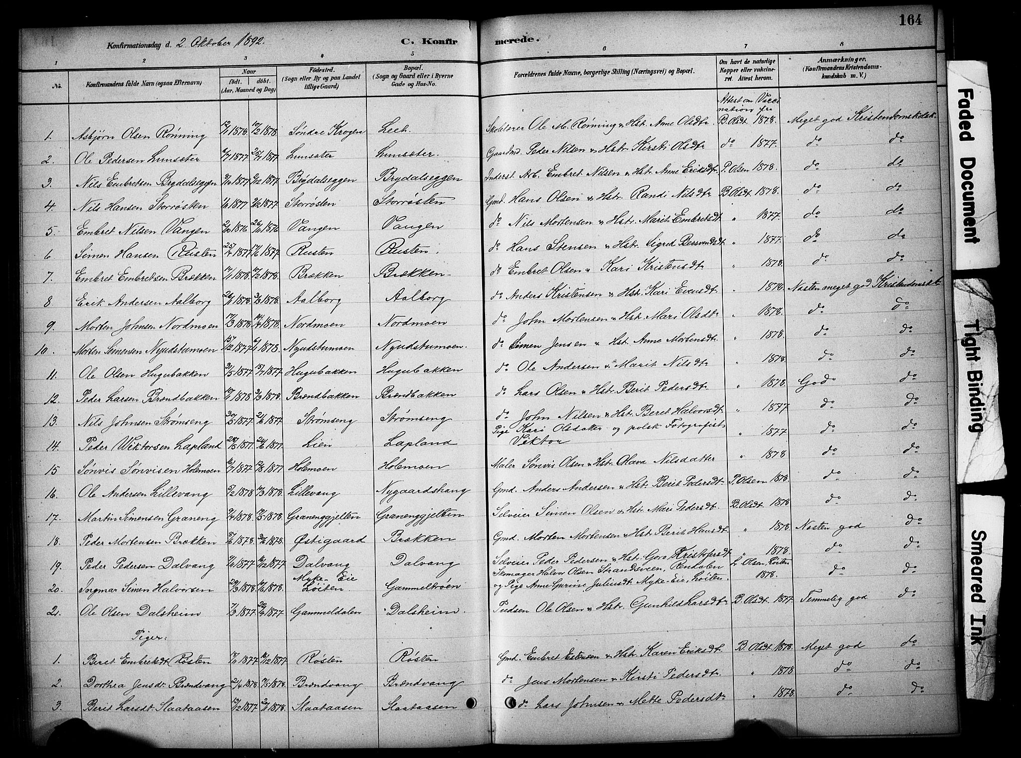 Tynset prestekontor, SAH/PREST-058/H/Ha/Hab/L0006: Parish register (copy) no. 6, 1880-1899, p. 164