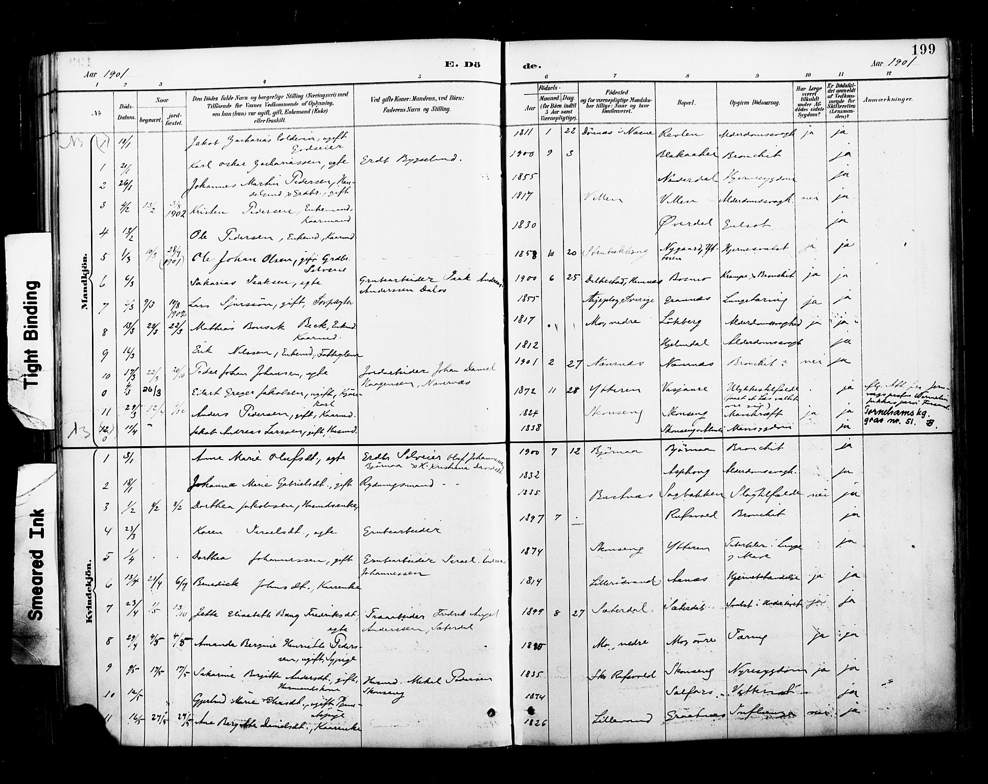 Ministerialprotokoller, klokkerbøker og fødselsregistre - Nordland, AV/SAT-A-1459/827/L0401: Parish register (official) no. 827A13, 1887-1905, p. 199