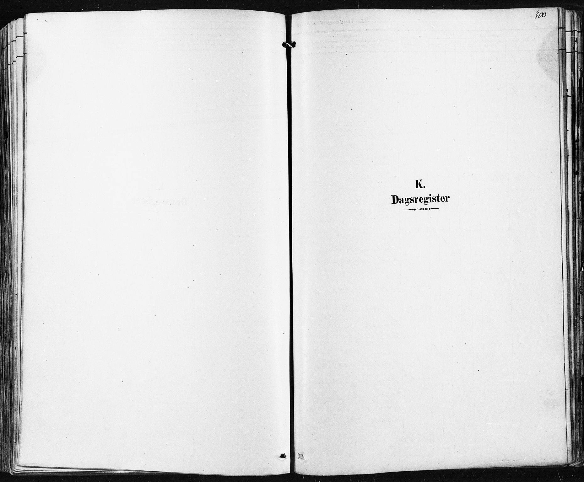 Borre kirkebøker, SAKO/A-338/F/Fa/L0009: Parish register (official) no. I 9, 1878-1896, p. 300