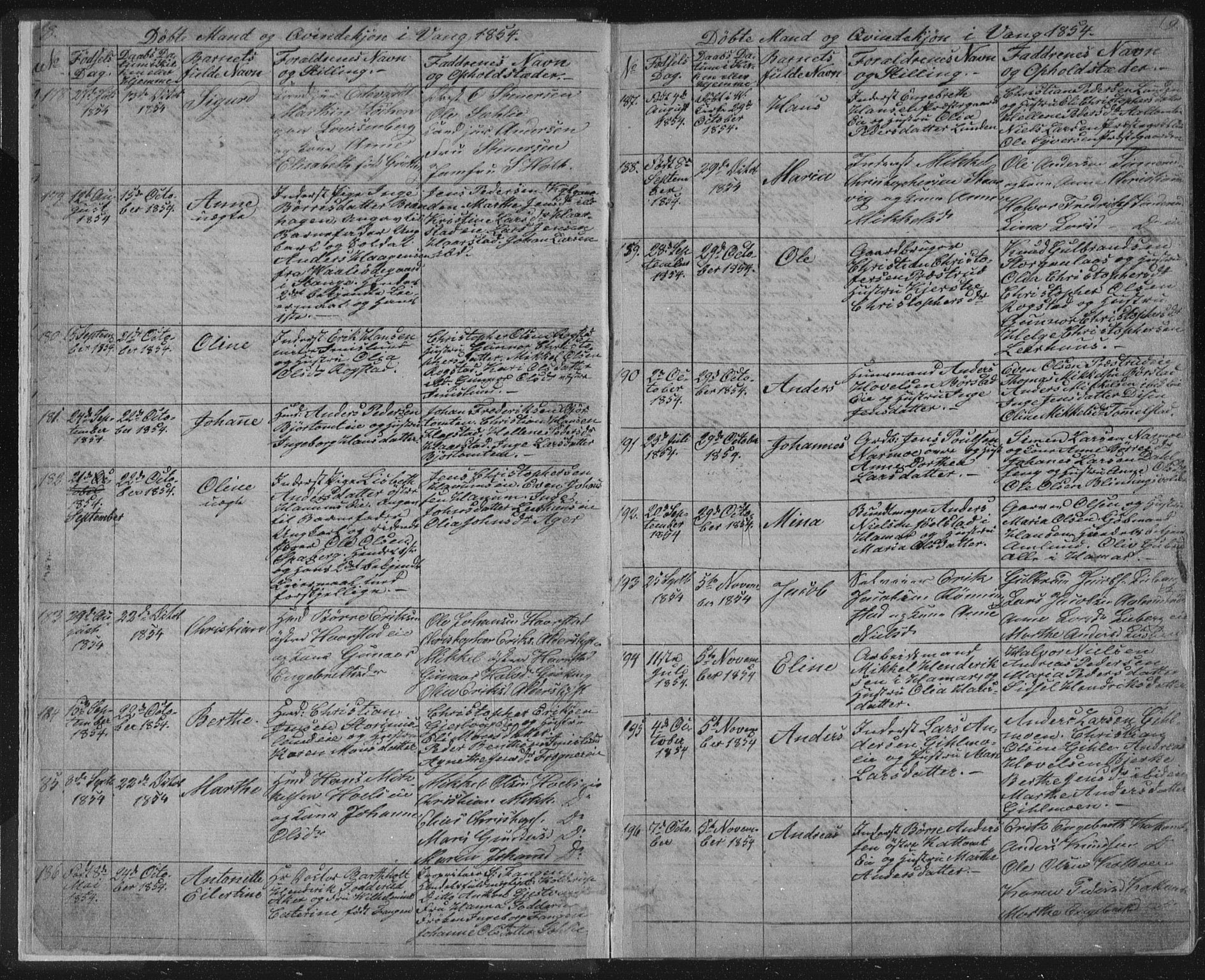 Vang prestekontor, Hedmark, AV/SAH-PREST-008/H/Ha/Hab/L0010A: Parish register (copy) no. 10a, 1854-1896, p. 8-9