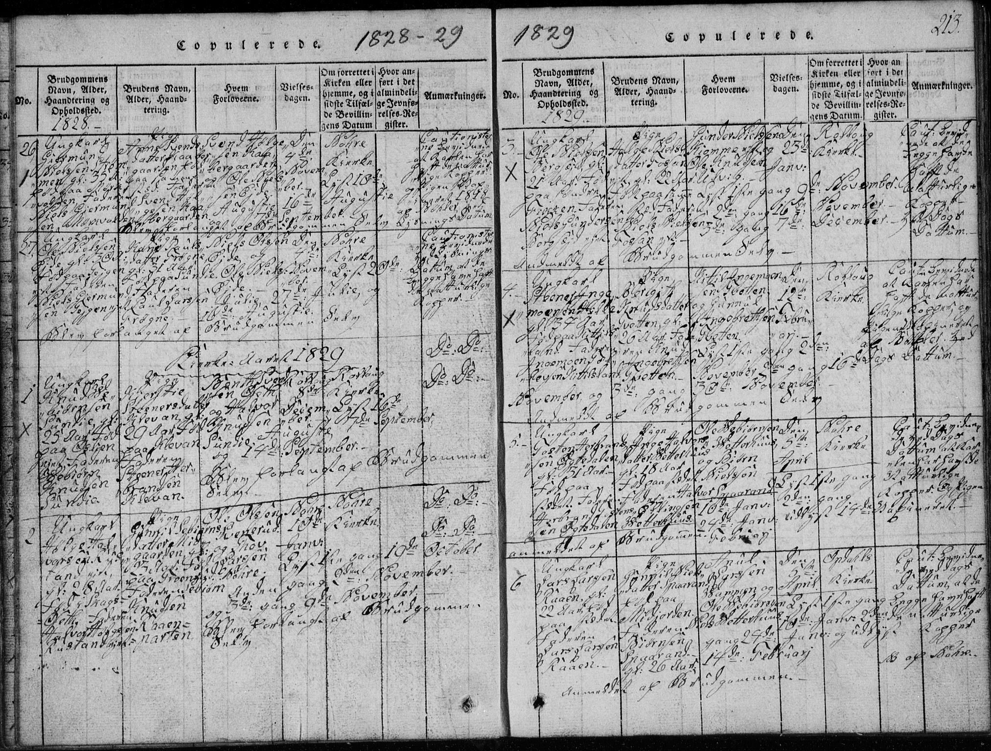 Rollag kirkebøker, AV/SAKO-A-240/G/Ga/L0001: Parish register (copy) no. I 1, 1814-1831, p. 213