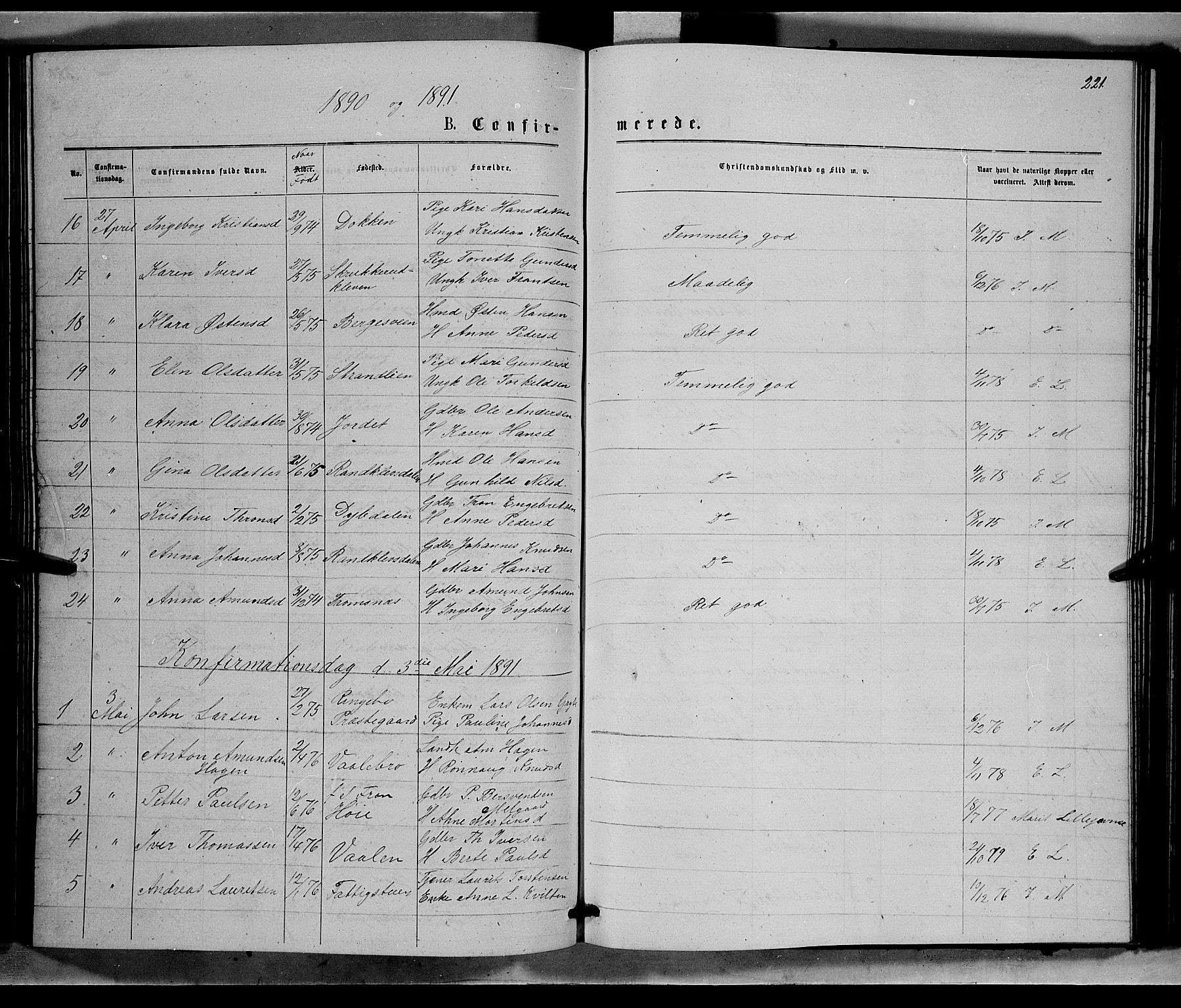 Ringebu prestekontor, SAH/PREST-082/H/Ha/Hab/L0006: Parish register (copy) no. 6, 1880-1898, p. 221
