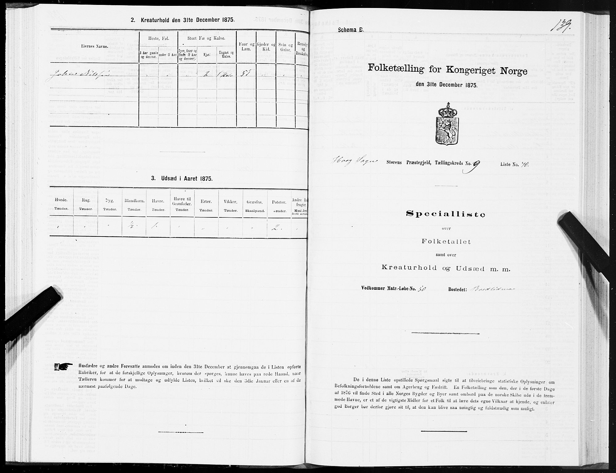 SAT, 1875 census for 1648P Støren, 1875, p. 5139