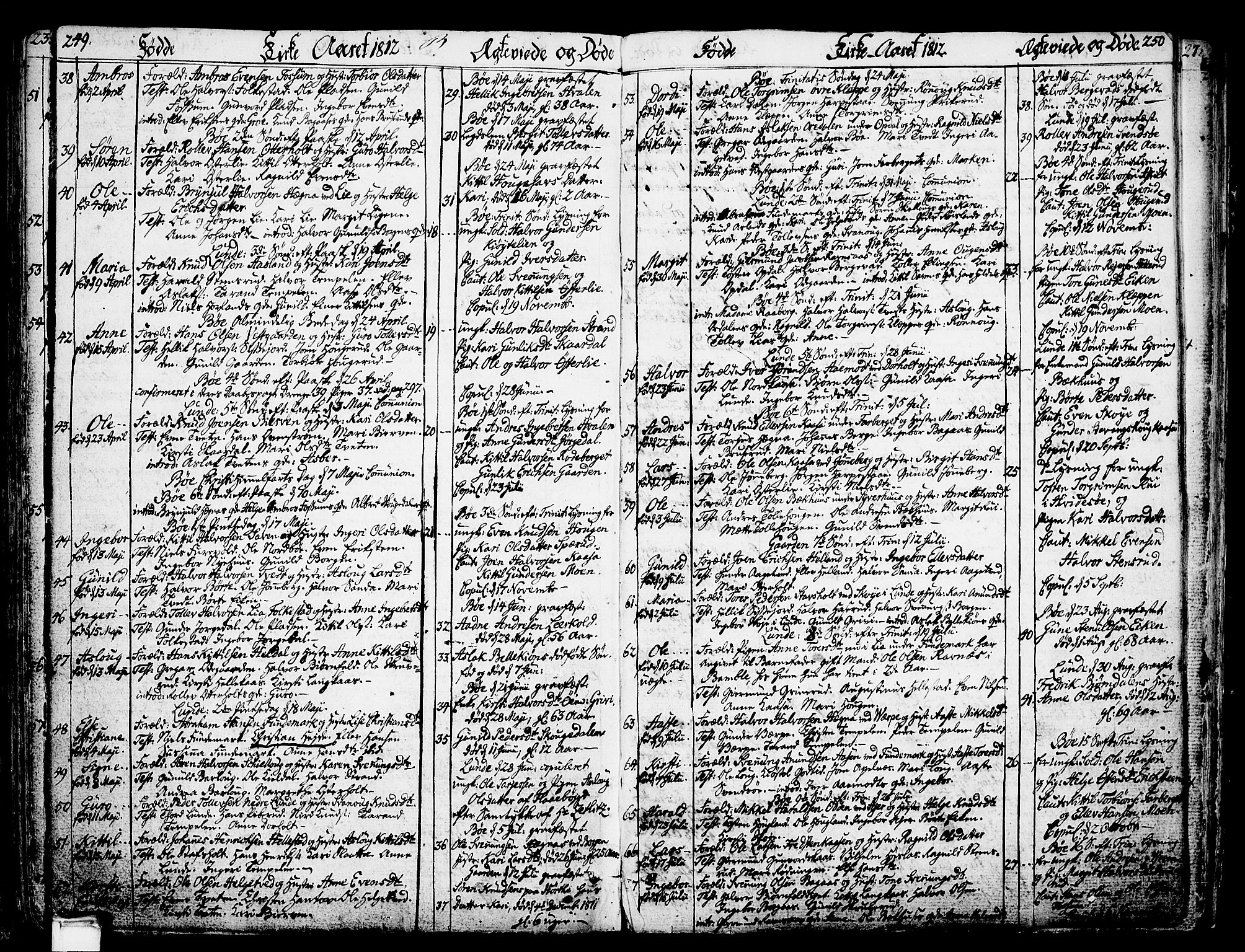 Bø kirkebøker, SAKO/A-257/F/Fa/L0005: Parish register (official) no. 5, 1785-1815, p. 249-250